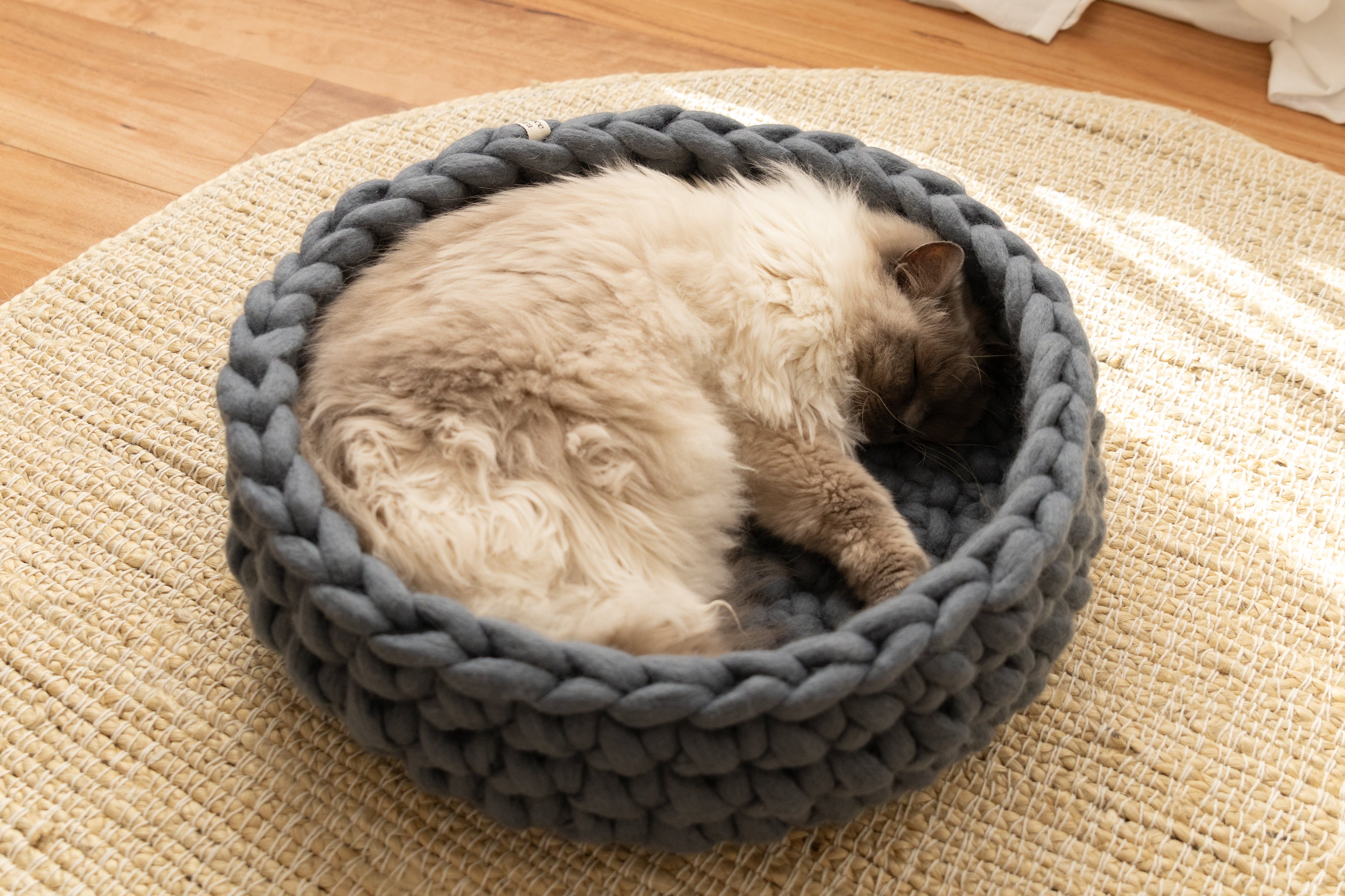 Is merino wool safe for cats? What to know before you buy