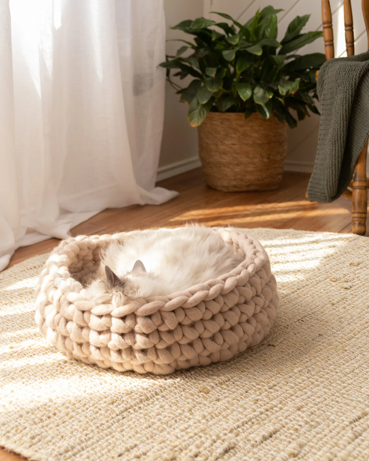 Solace Aura beige cat bed made from merino wool, styled on a round woven jute rug with a cat resting inside, photographed in a warm natural-light interior with sheer curtains, a wooden chair with a draped throw, and a potted plant in the background