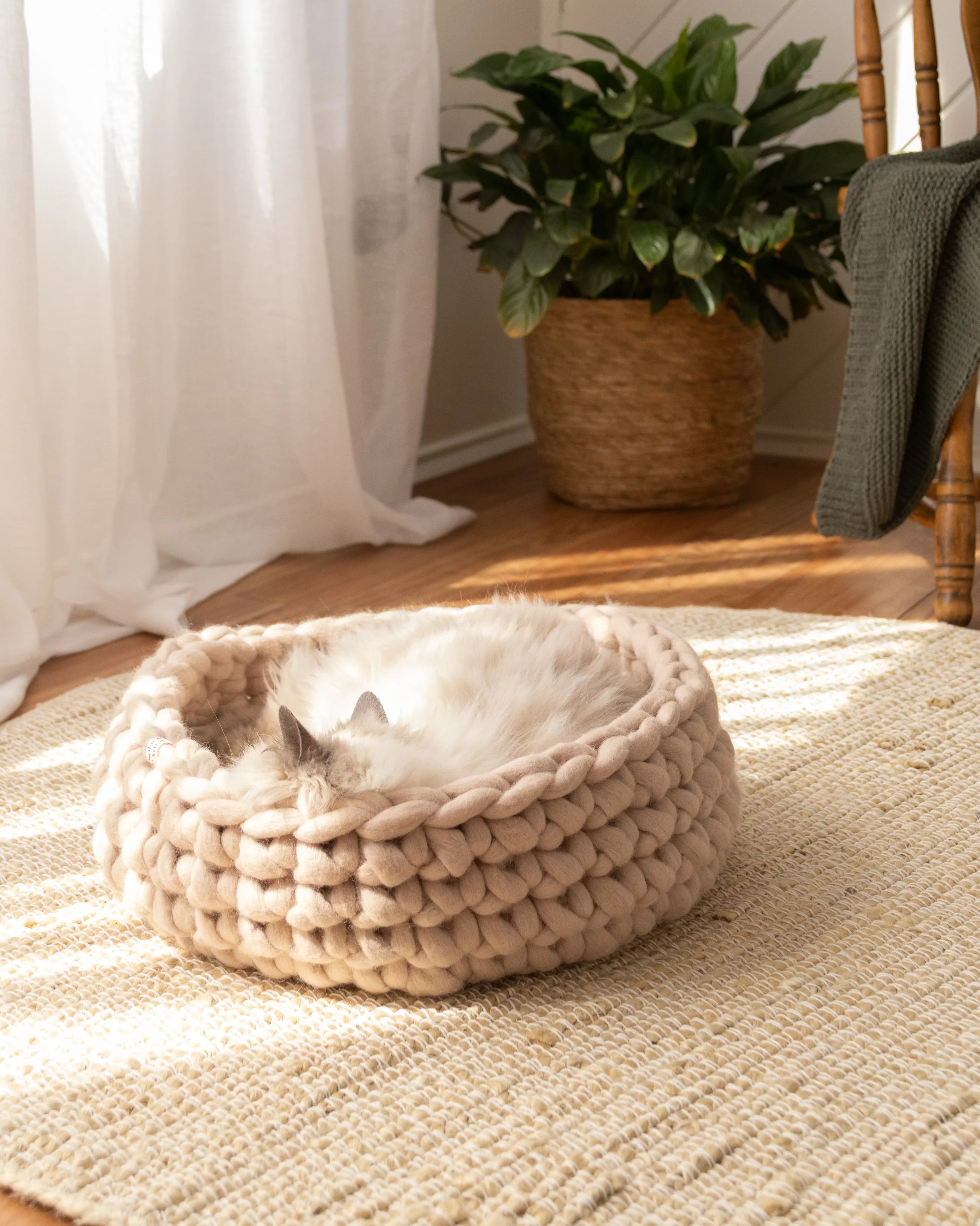 Solace Aura beige cat bed made from merino wool, styled on a round woven jute rug with a cat resting inside, photographed in a warm natural-light interior with sheer curtains, a wooden chair with a draped throw, and a potted plant in the background