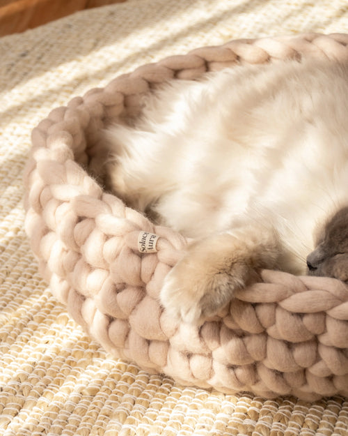 Solace Aura beige cat bed, beige merino wool, round handwoven cat bed with a cat sleeping curled inside, placed on a natural jute rug in a sunlit room with sheer white curtains on a wooden floor