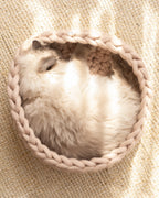 Solace Aura beige cat bed made from natural merino wool, shown from a top-down angle with a cat curled inside the handwoven bed, placed on a round jute rug in a softly styled home interior.