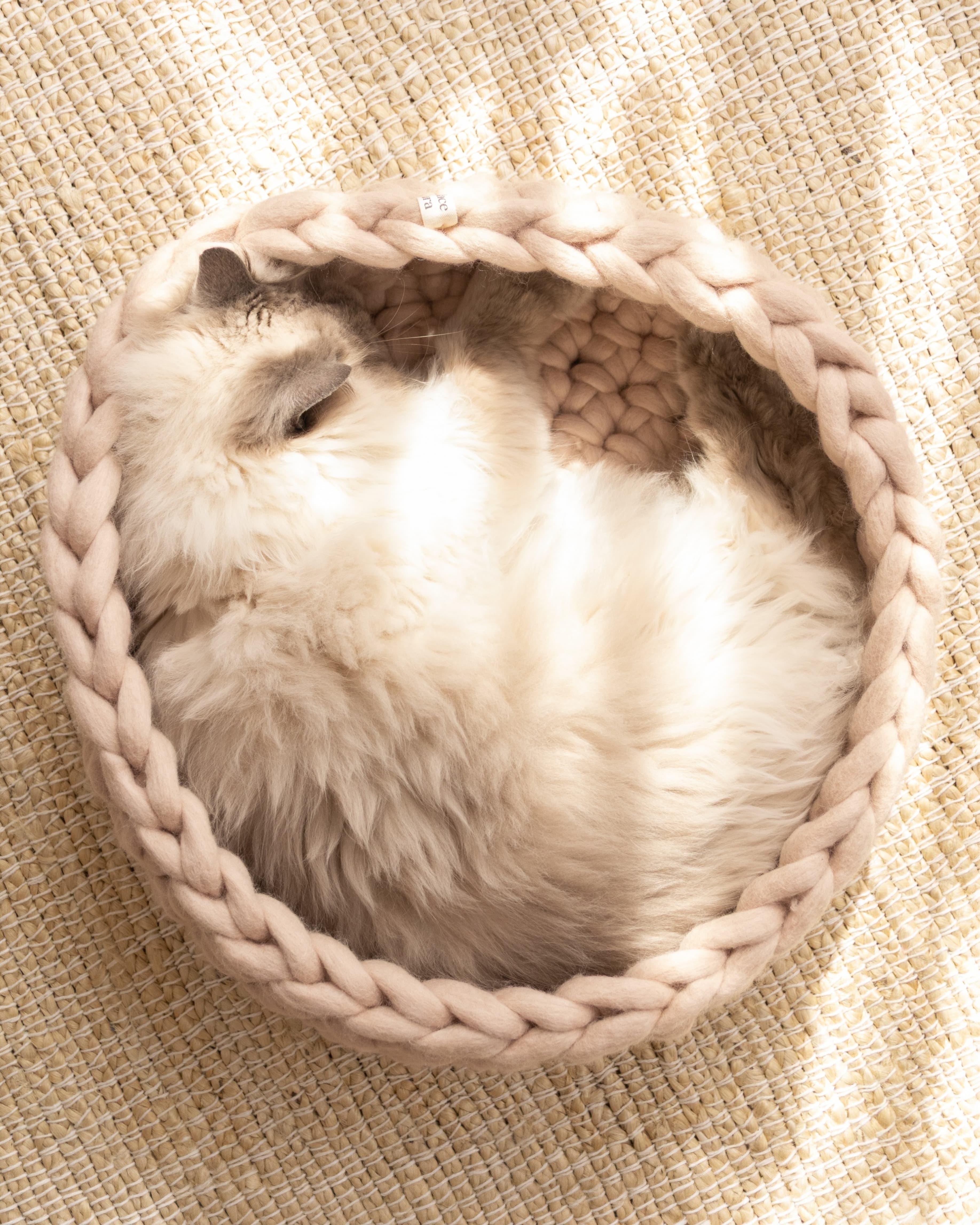Solace Aura beige cat bed made from natural merino wool, shown from a top-down angle with a cat curled inside the handwoven bed, placed on a round jute rug in a softly styled home interior.