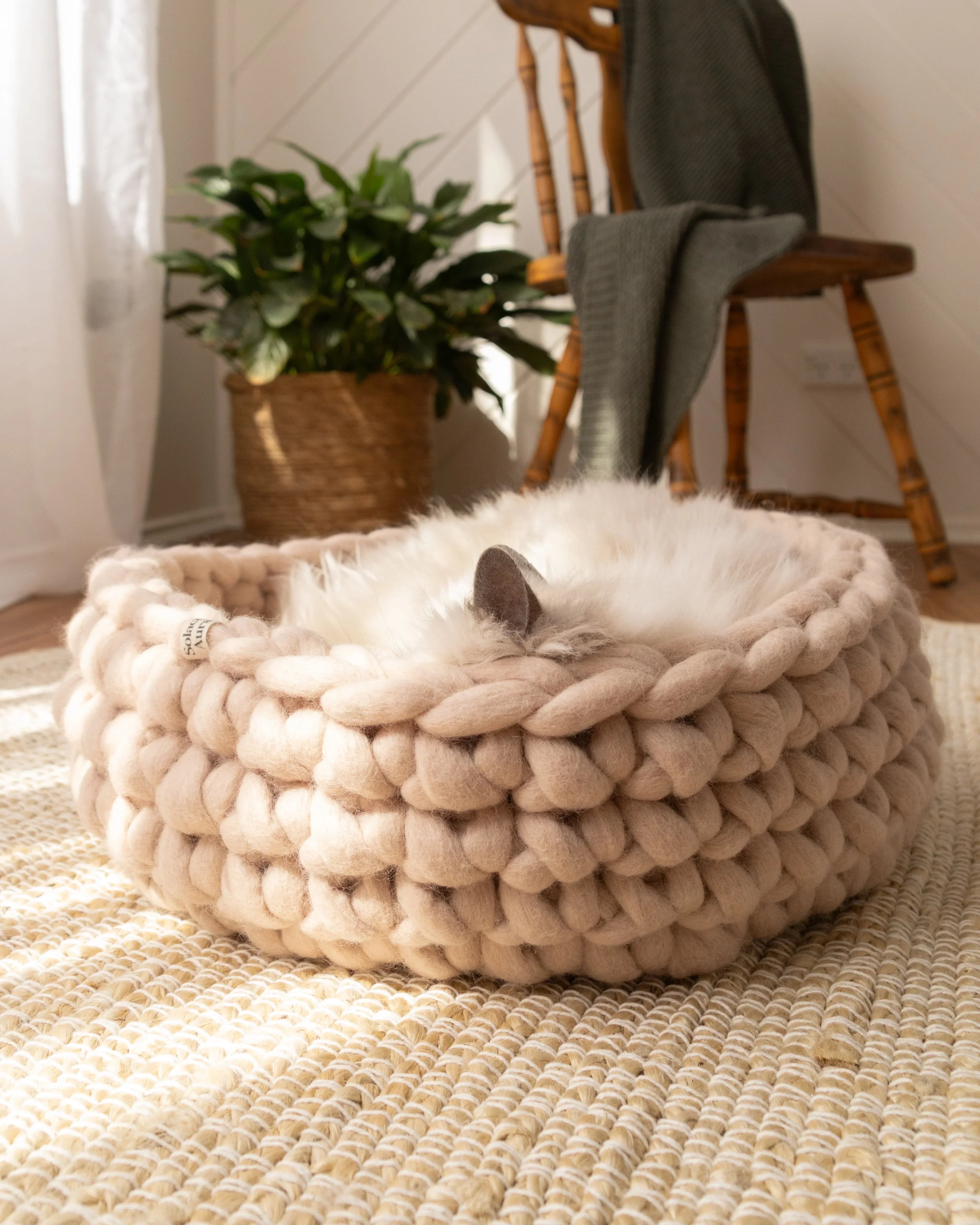 Solace Aura beige cat bed made from merino wool, styled on a round woven jute rug with a cat resting inside, photographed in a warm natural-light interior with sheer curtains, a wooden chair with a draped throw, and a potted plant in the background