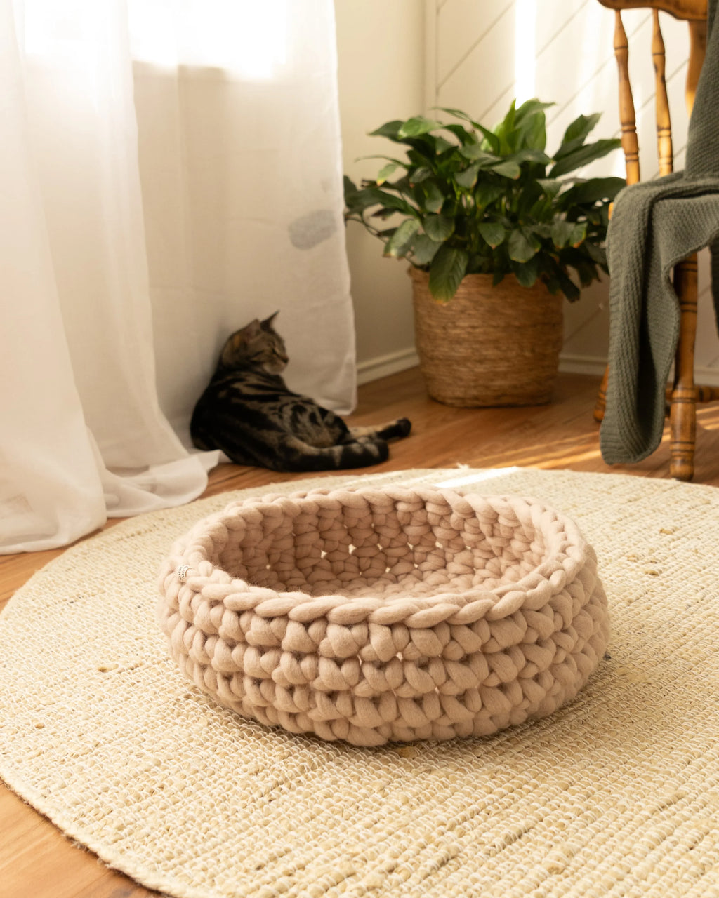 Solace Aura Beige cat bed made from natural merino wool, styled on a round jute rug in a softly lit home interior, with sheer curtains, timber flooring, a potted plant, tabby cat and a wooden chair in the background