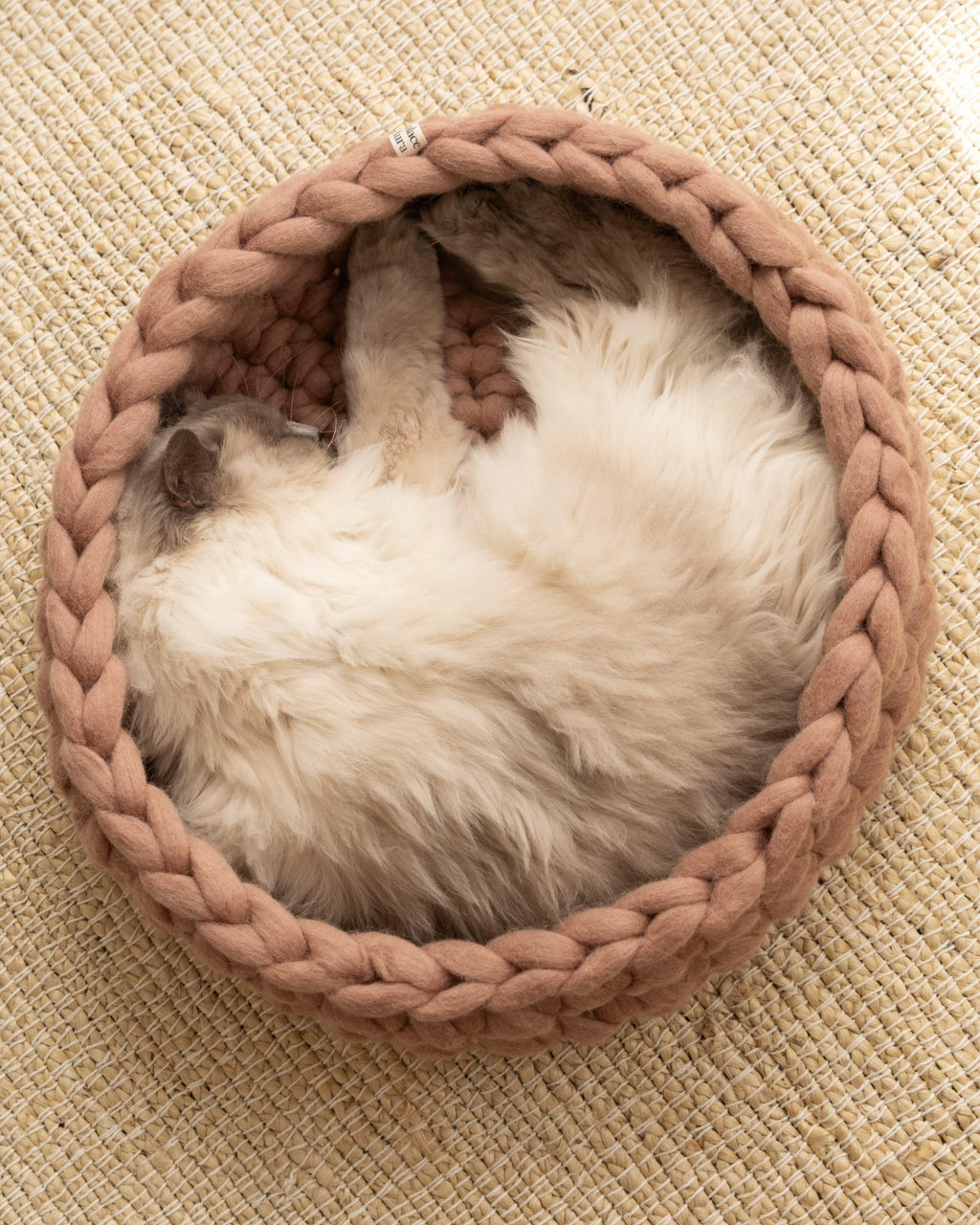 Solace Aura Cappuccino brown cat bed made from merino wool, shown from above with a cat sleeping curled inside on a natural jute rug