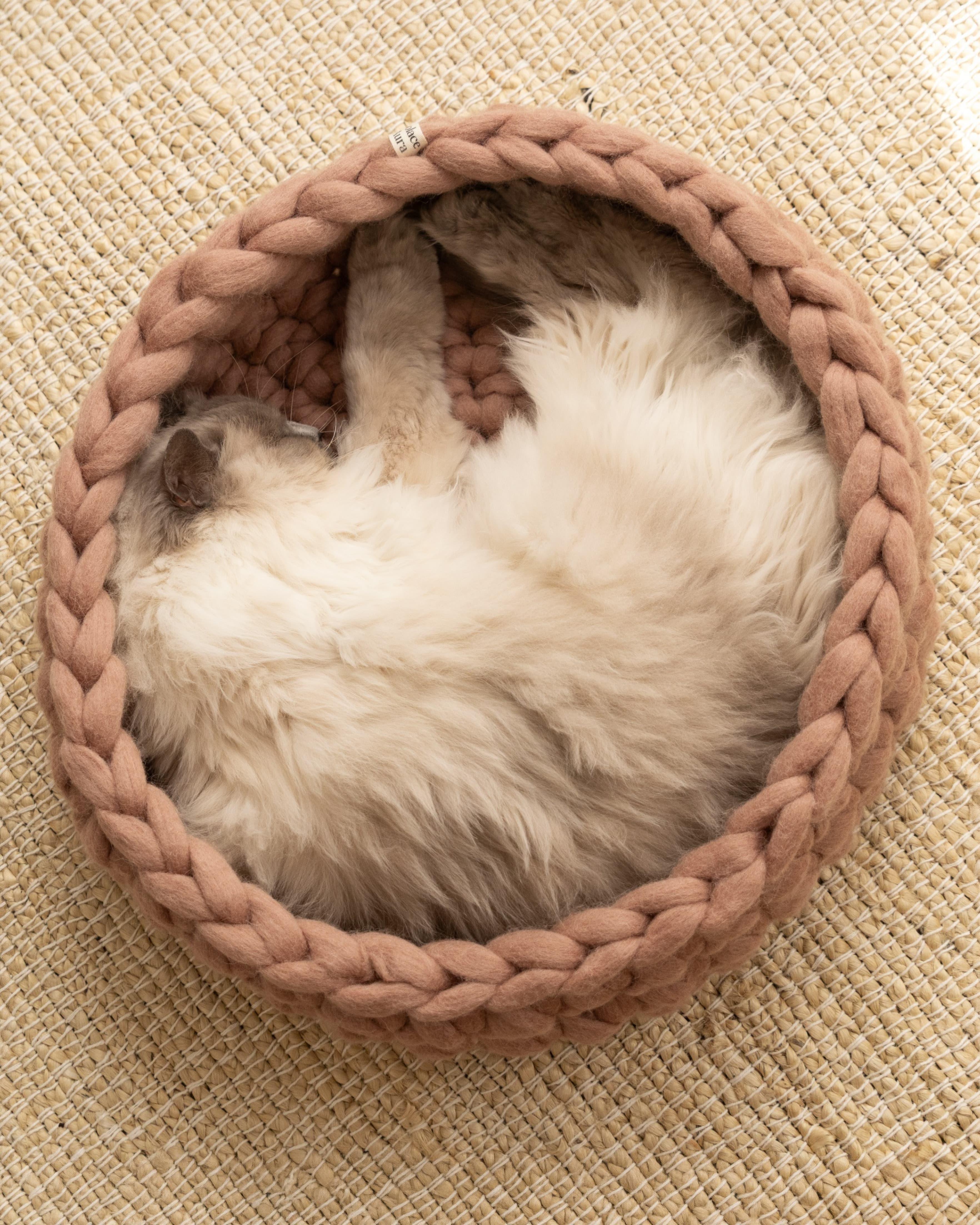 Solace Aura Cappuccino brown cat bed made from merino wool, shown from above with a cat sleeping curled inside on a natural jute rug