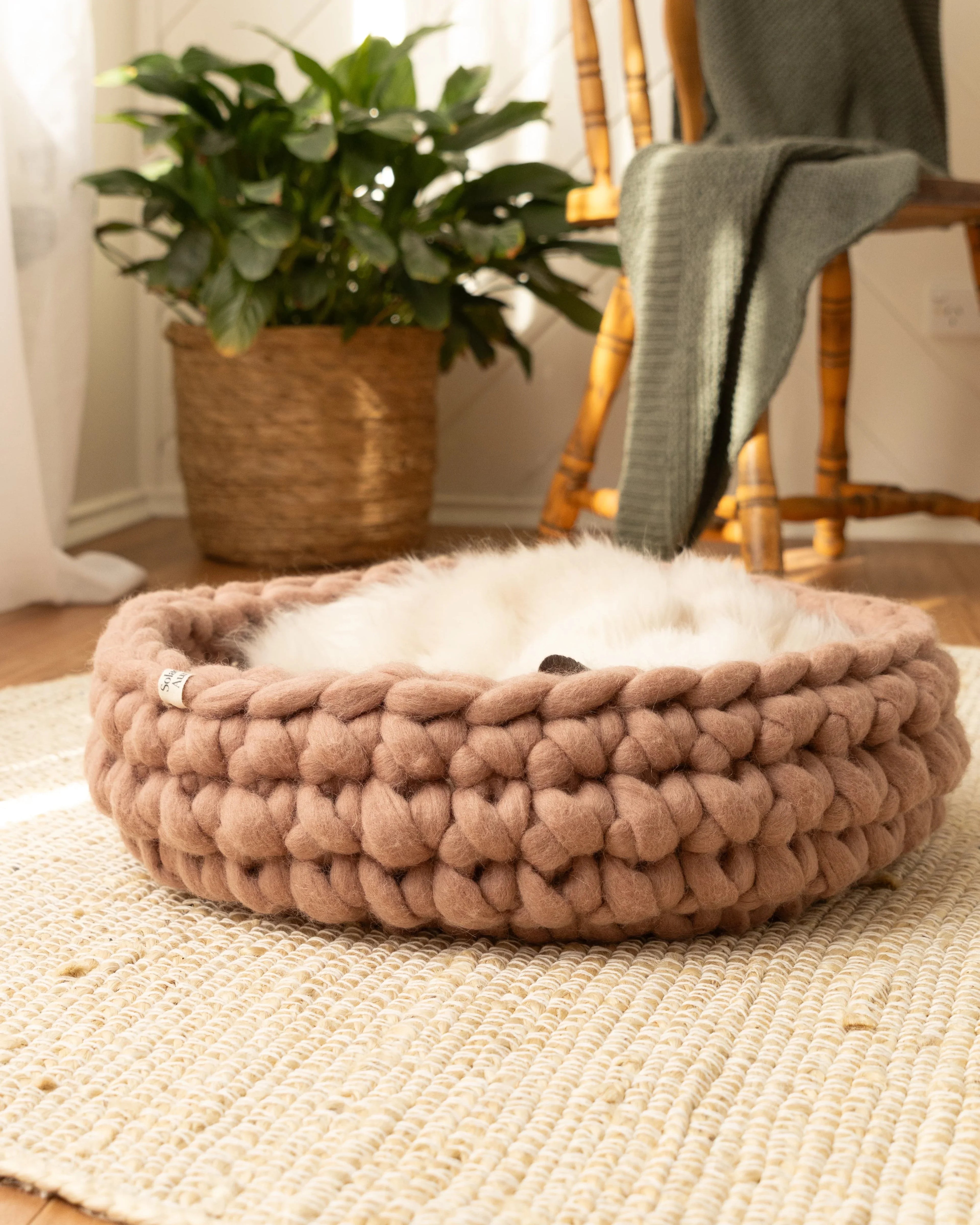 Solace Aura Cappuccino (warm brown) cat bed  with cat sleeping in bed. handmade from natural merino wool, styled in a calm, sunlit interior