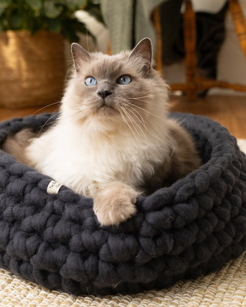 Fluffy cat resting in a Solace Aura charcoal grey merino wool cat bed, handmade from 100% natural, mulesing-free wool in a calm, light-filled home.
