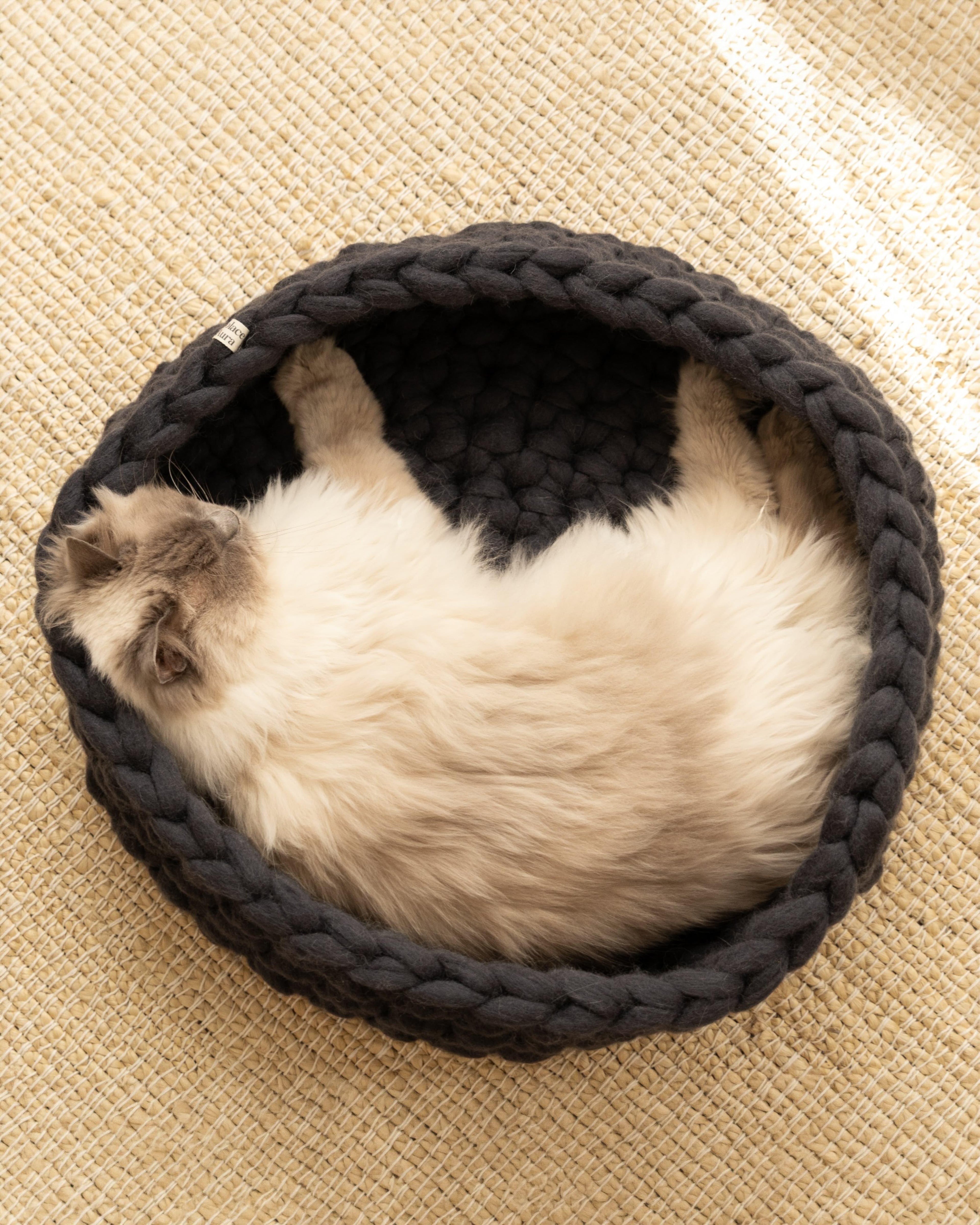 Top-down view of a cat resting inside a charcoal grey Solace Aura Merino wool cat bed, showing the hand-woven texture and soft natural wool interior on a neutral woven rug.