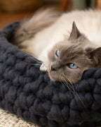 Charcoal grey Solace Aura cat bed handcrafted from 100% merino wool, with a cat resting inside on a neutral woven rug in a sunlit home.