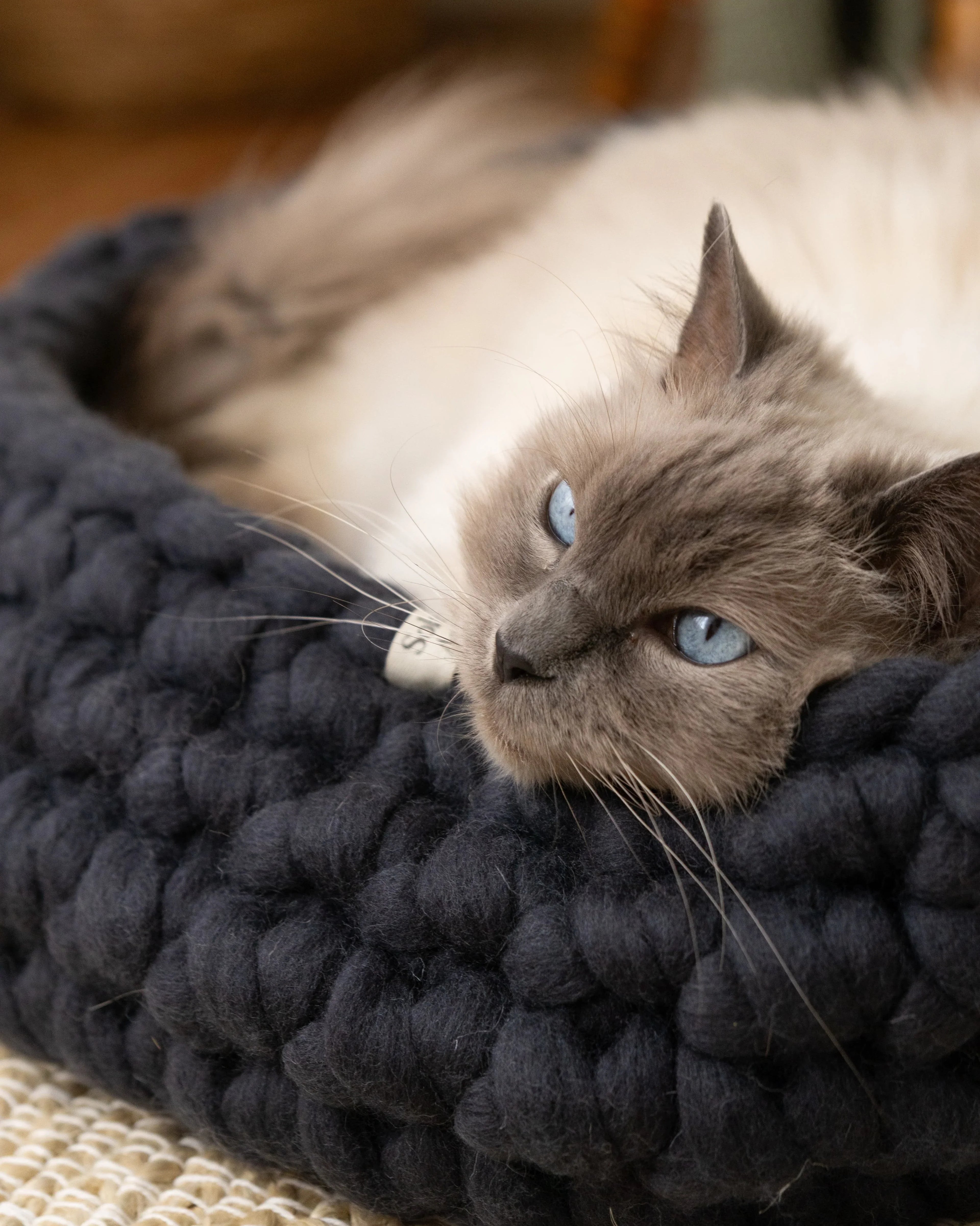Charcoal grey Solace Aura cat bed handcrafted from 100% merino wool, with a cat resting inside on a neutral woven rug in a sunlit home.