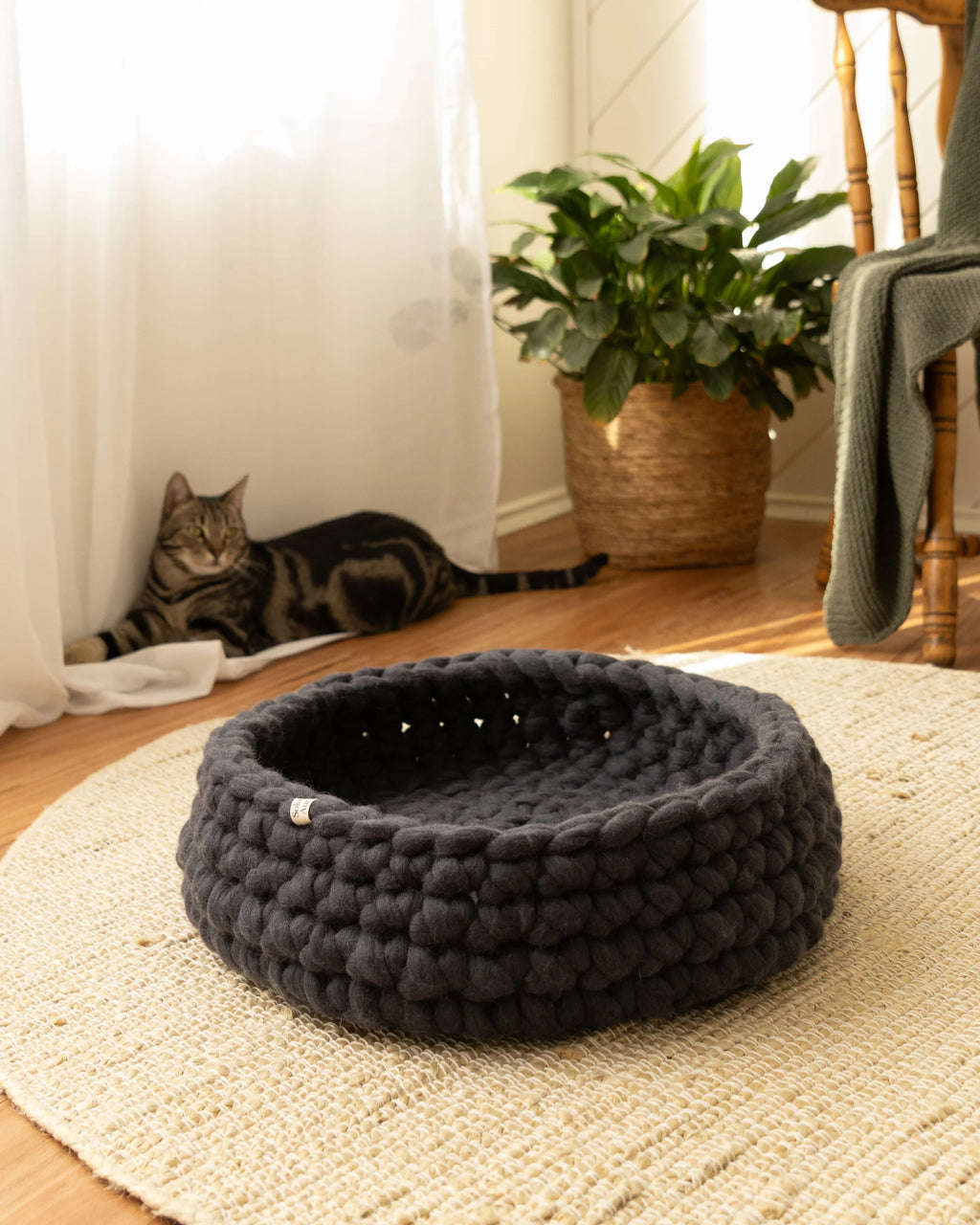 Solace Aura charcoal Merino wool cat bed made from natural wool, photographed in a warm minimalist home with timber floors, jute rug, and a relaxed cat in the background.