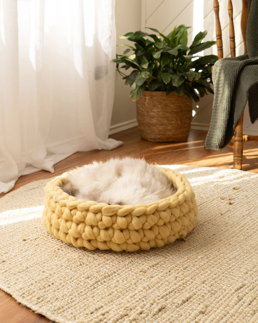 Handcrafted Honey merino wool cat bed in warm yellow tone with cat resting inside, handmade felted wool pet bed by Solace Aura