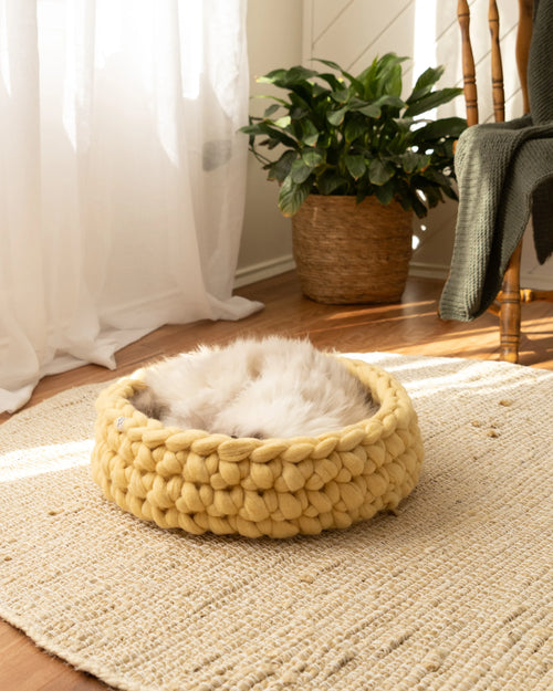 Handcrafted Honey merino wool cat bed in warm yellow tone with cat resting inside, handmade felted wool pet bed by Solace Aura