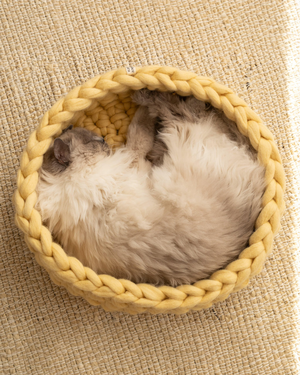 Top view of a cat resting inside the Solace Aura Honey cat bed, a handmade yellow merino wool cat bed with a soft, felted interior and woven structure