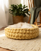 Solace Aura Honey cat bed in warm yellow merino wool, on a woven rug in a light-filled home interior with indoor plants.