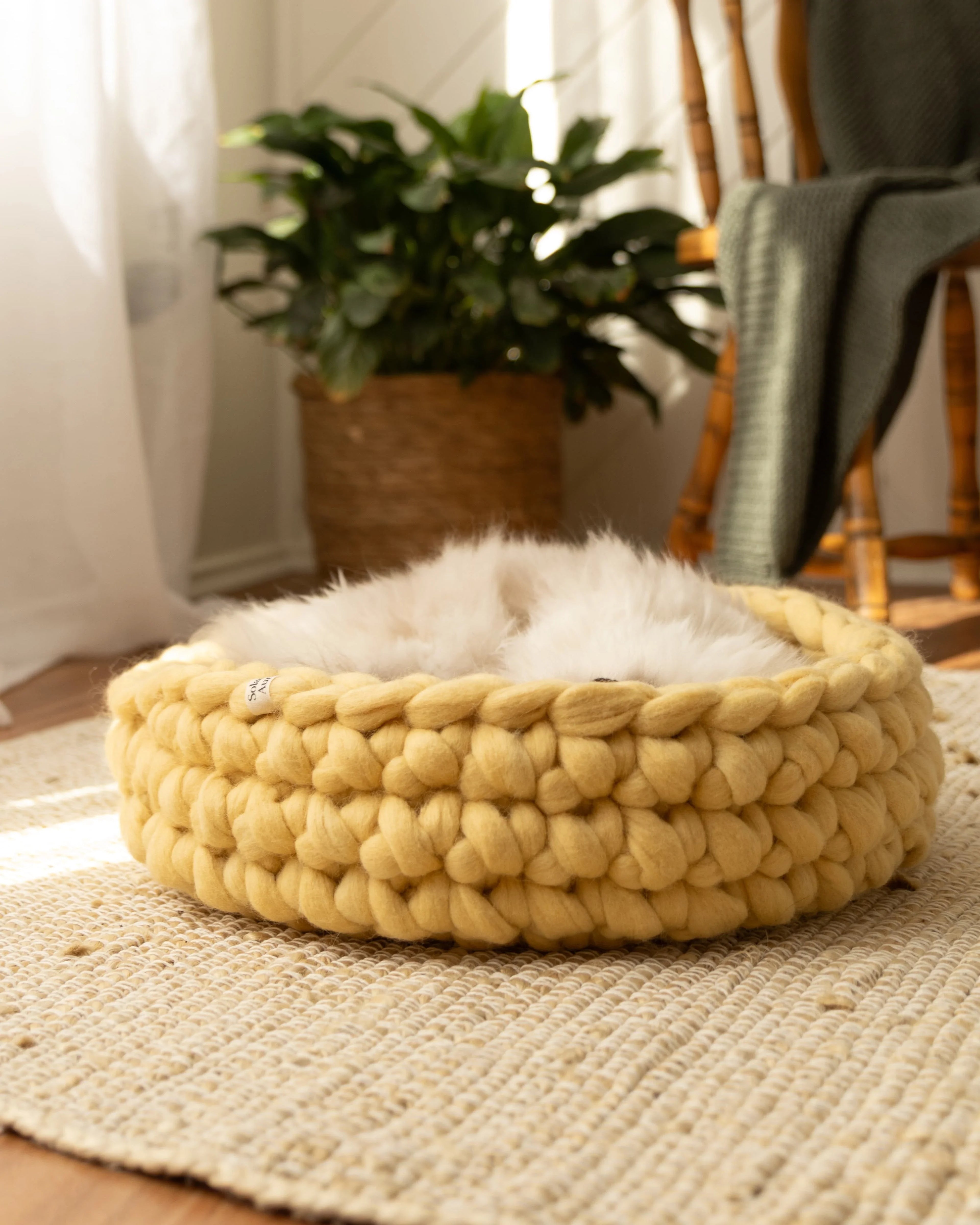 Solace Aura Honey cat bed in warm yellow merino wool, on a woven rug in a light-filled home interior with indoor plants.