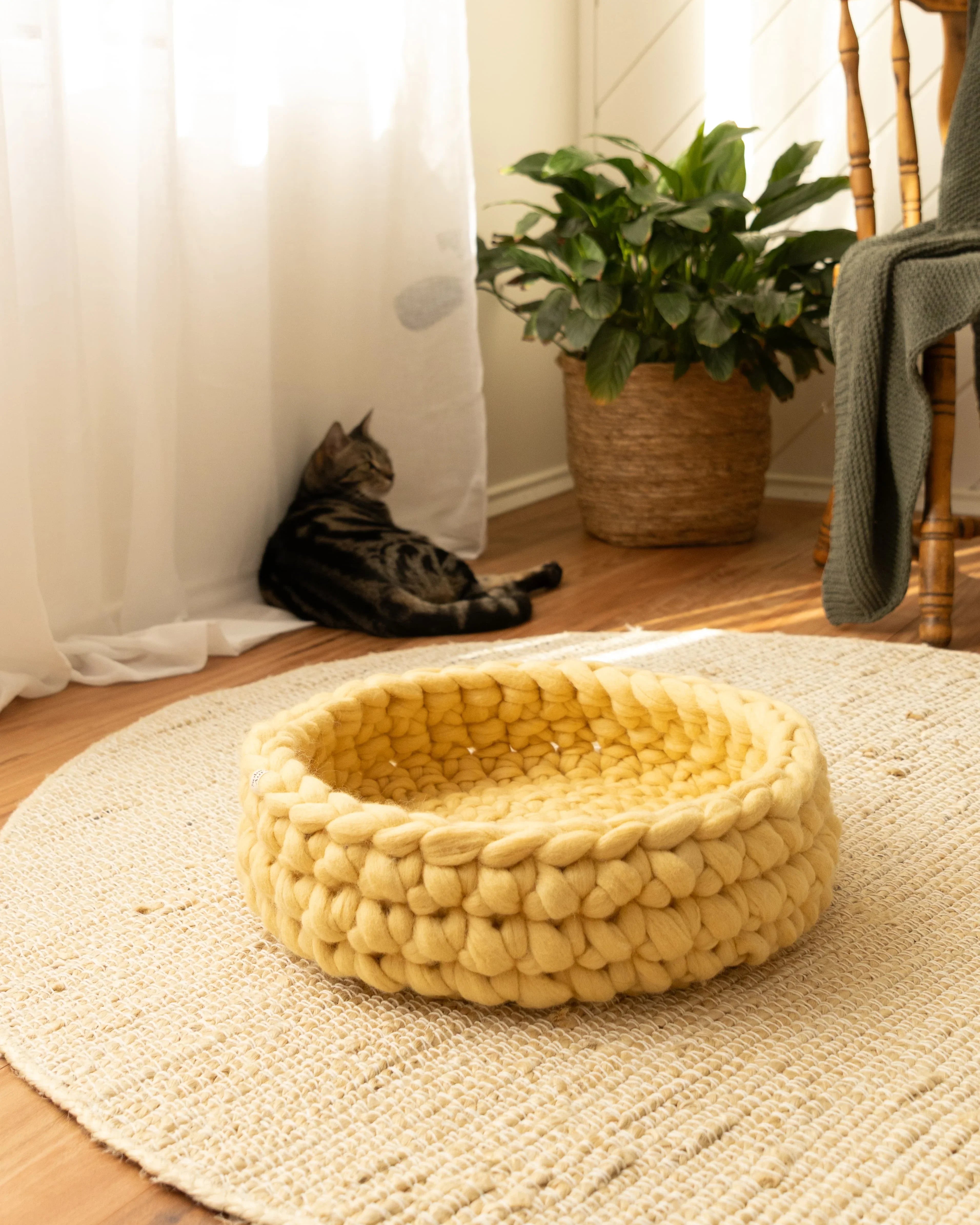 Solace Aura merino wool cat bed in Honey yellow styled on a natural rug, with a cat resting nearby in a sunlit room