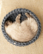 Solace Aura Moonstone grey merino wool cat bed, shown from a top-down angle with a light-coloured cat curled up asleep inside. 