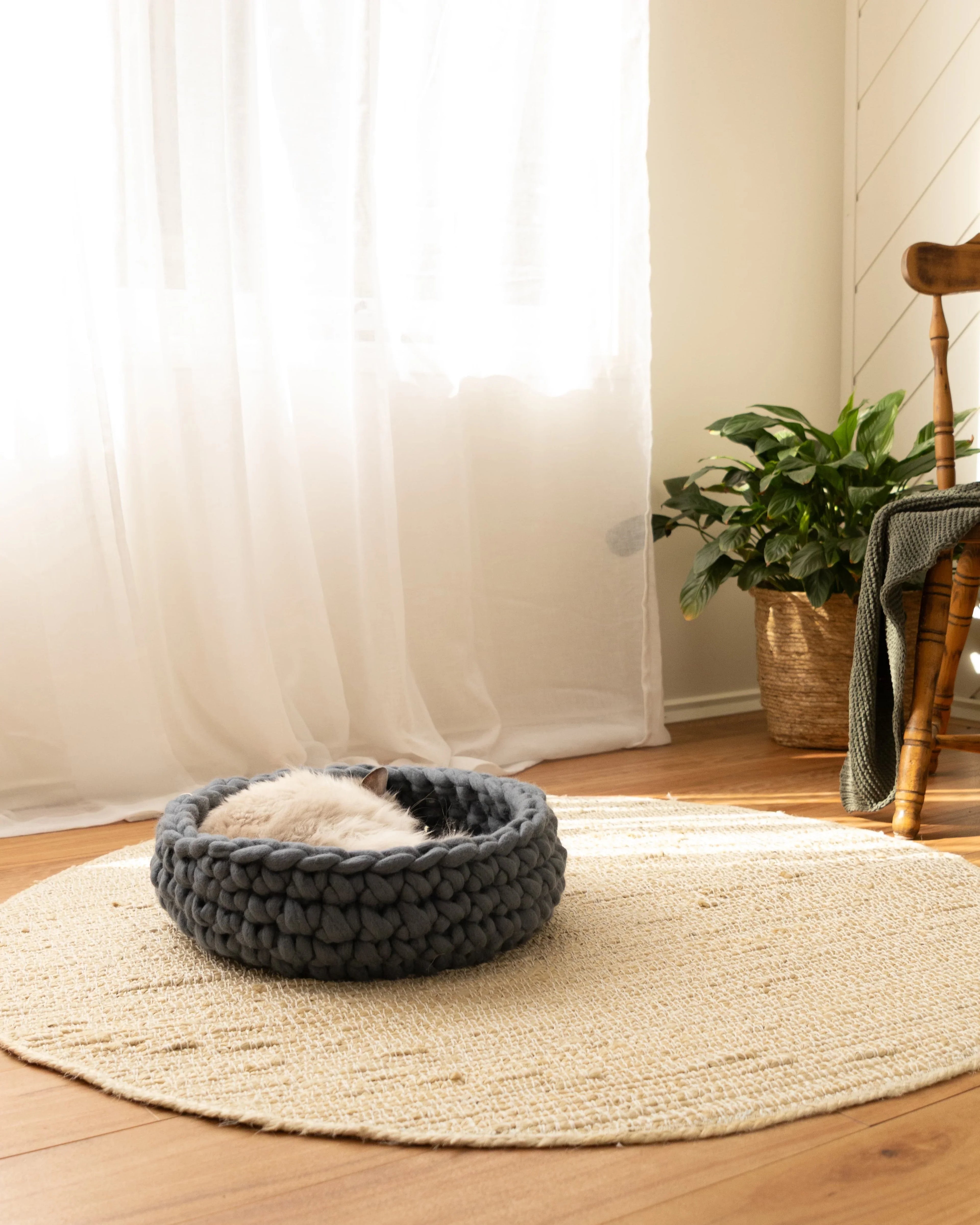 Solace Aura Moonstone grey merino wool cat bed placed on a natural jute rug over timber floorboards, with a cat resting inside. Soft white curtains, a leafy indoor plant in a woven basket, and a wooden chair with a draped blanket create a calm, earthy interior setting.