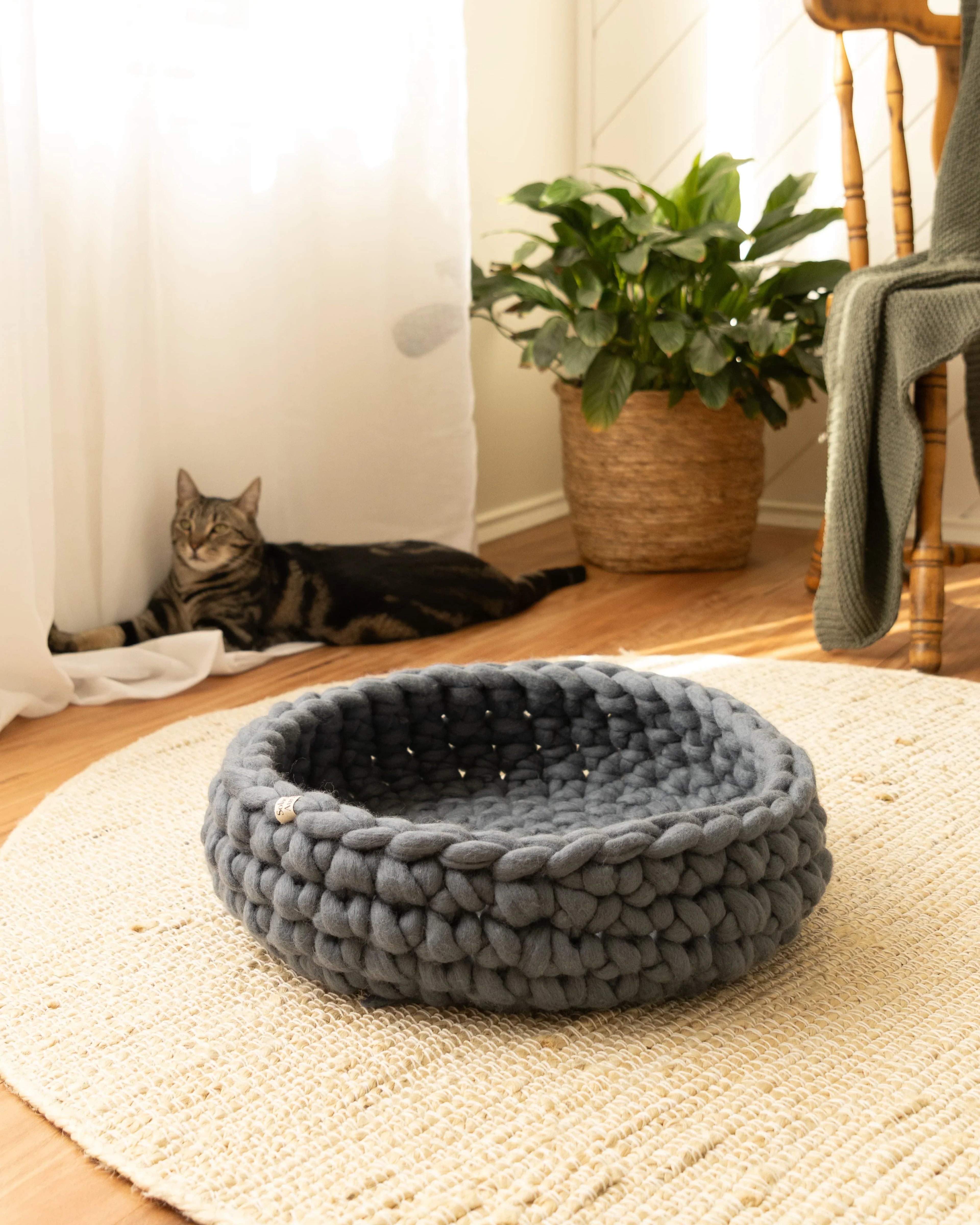 Solace Aura Moonstone grey merino wool cat bed styled on a round jute rug over timber floorboards, with a tabby cat resting near sheer white curtains, a leafy indoor plant in a woven basket, and a wooden chair with a draped throw in soft natural light.