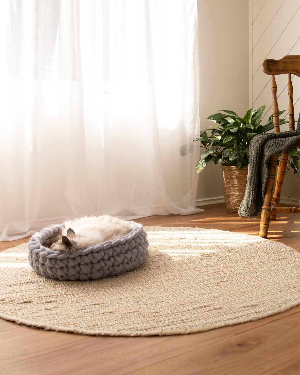 Solace Aura Pebble Grey cat bed made from merino wool, styled on a round jute rug with a sleeping cat inside, set on timber floorboards beside a white sheer curtain, potted green plant and wooden chair in soft natural light.
