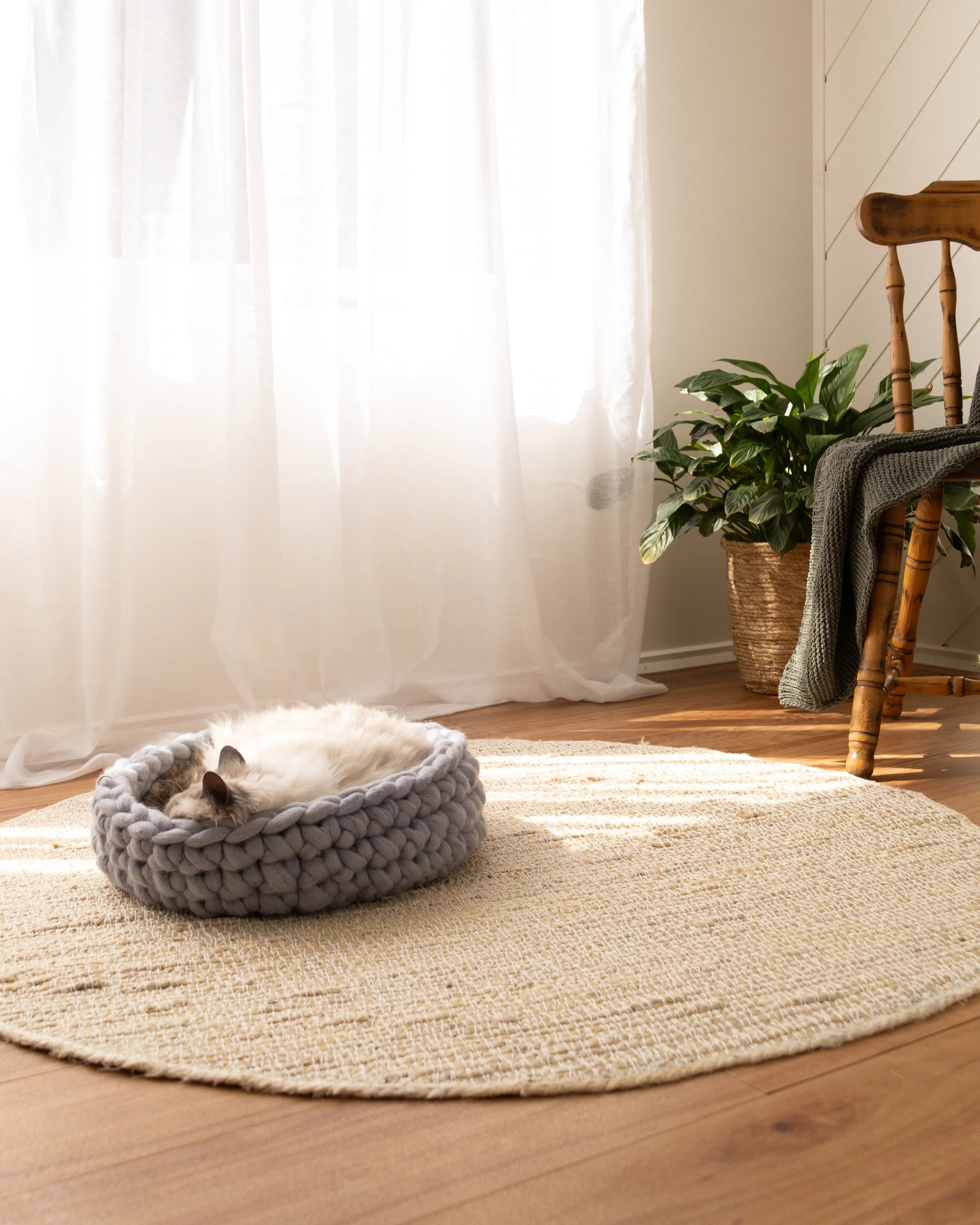 Solace Aura Pebble Grey cat bed made from merino wool, styled on a round jute rug with a sleeping cat inside, set on timber floorboards beside a white sheer curtain, potted green plant and wooden chair in soft natural light.
