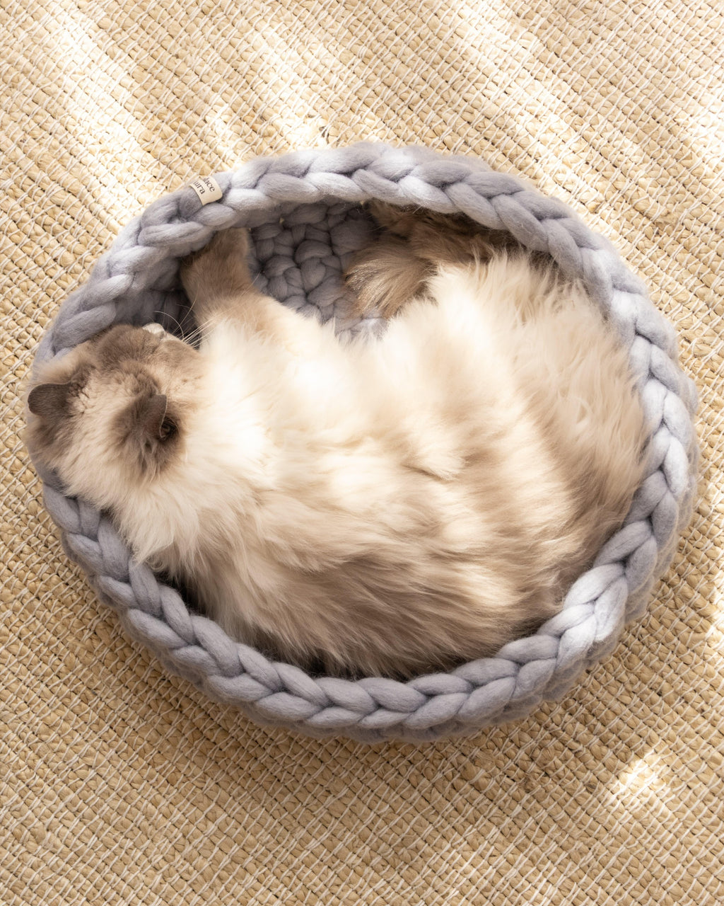 Solace Aura Pebble Grey Merino wool cat bed photographed from above, showing a fluffy long-haired cat curled comfortably inside.