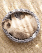 Solace Aura Pebble Grey Merino wool cat bed photographed from above, showing a fluffy long-haired cat curled comfortably inside.