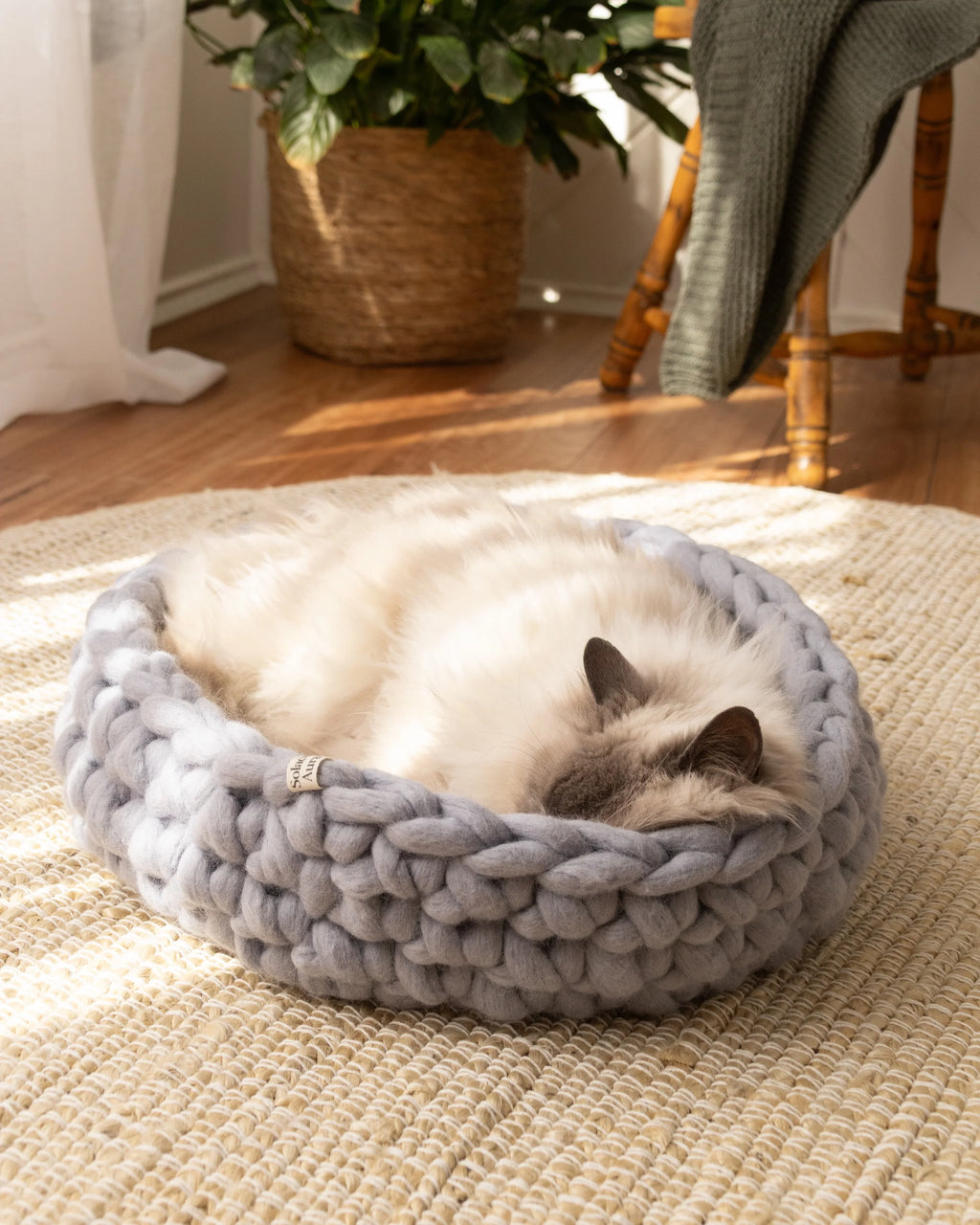 Solace Aura Pebble Grey cat bed in soft grey merino wool, shown on a natural jute rug in a sunlit interior, with a fluffy cat resting inside the bed, sheer white curtains, timber floor, woven plant pot, and wooden chair creating a calm, earthy home setting.