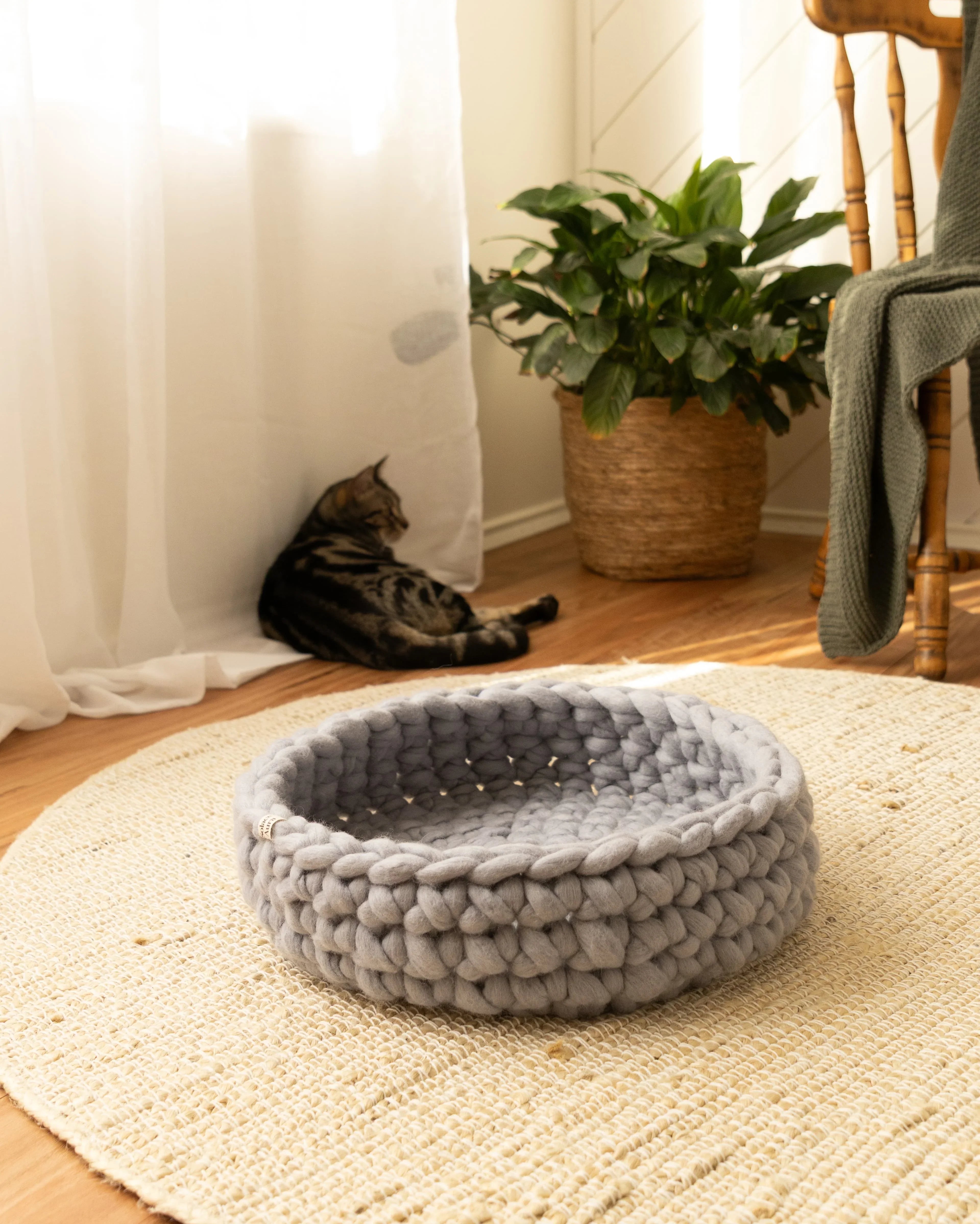 Solace Aura Pebble Grey merino wool cat bed styled on a round jute rug over timber floorboards, with soft white curtains, a woven plant pot, tabby cat beside the bed and a wooden chair creating a calm, natural interior setting.