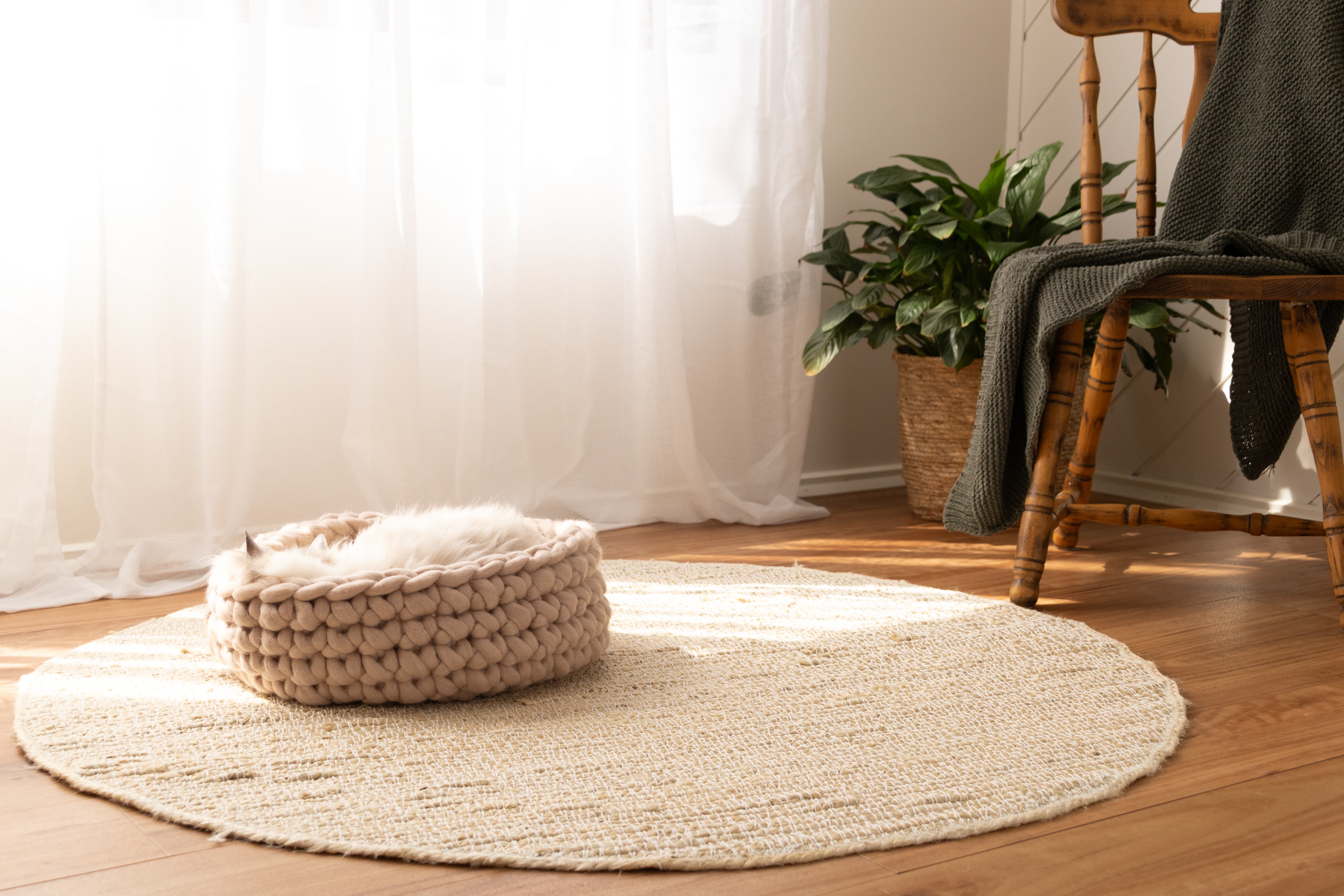 A white cat sleeping in a chunky knit pet bed on a round jute rug, beside a timber rocking chair with a green throw, a potted plant, and sheer curtains in warm natural light.