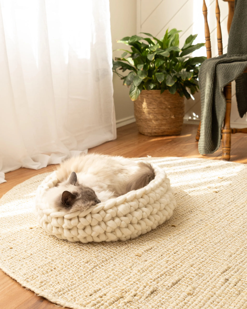 Solace Aura Natural White cat bed made from merino wool, featuring a cat resting inside the bed on a round jute mat in a sunlit living space with sheer curtains, wooden floor, indoor plant, and timber chair in the background.