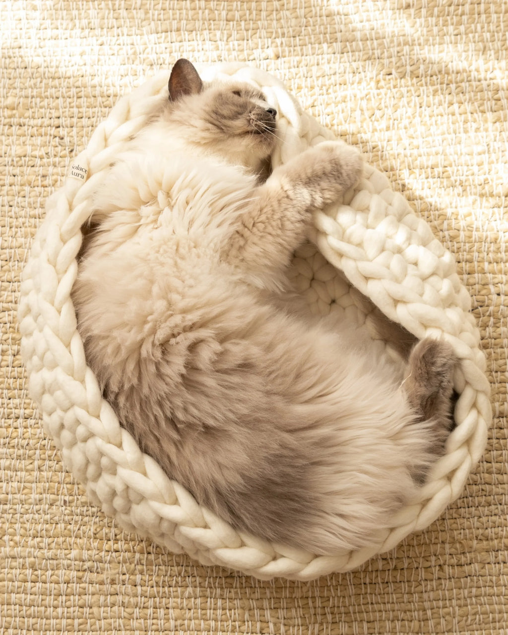 Solace Aura Natural White cat bed, white merino wool cat bed shown from a top-down angle with a cat sleeping curled inside, placed on a round jute rug in a softly lit home interior