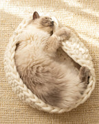 Solace Aura Natural White cat bed, white merino wool cat bed shown from a top-down angle with a cat sleeping curled inside, placed on a round jute rug in a softly lit home interior