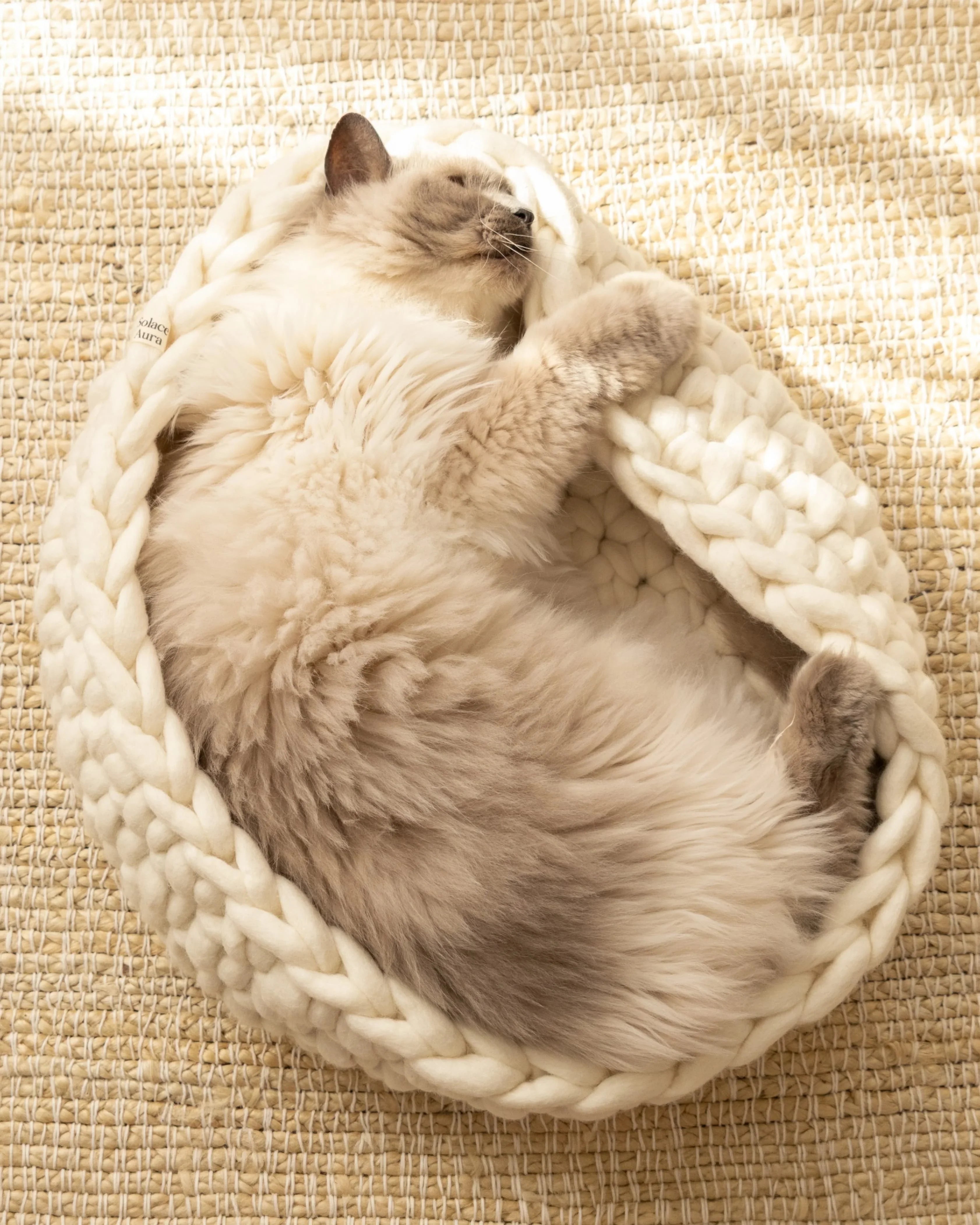 Solace Aura Natural White cat bed, white merino wool cat bed shown from a top-down angle with a cat sleeping curled inside, placed on a round jute rug in a softly lit home interior