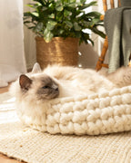 Solace Aura Natural White cat bed made from merino wool, featuring a cat resting inside the bed on a round jute mat in a sunlit living space with sheer curtains, wooden floor, indoor plant, and timber chair in the background.
