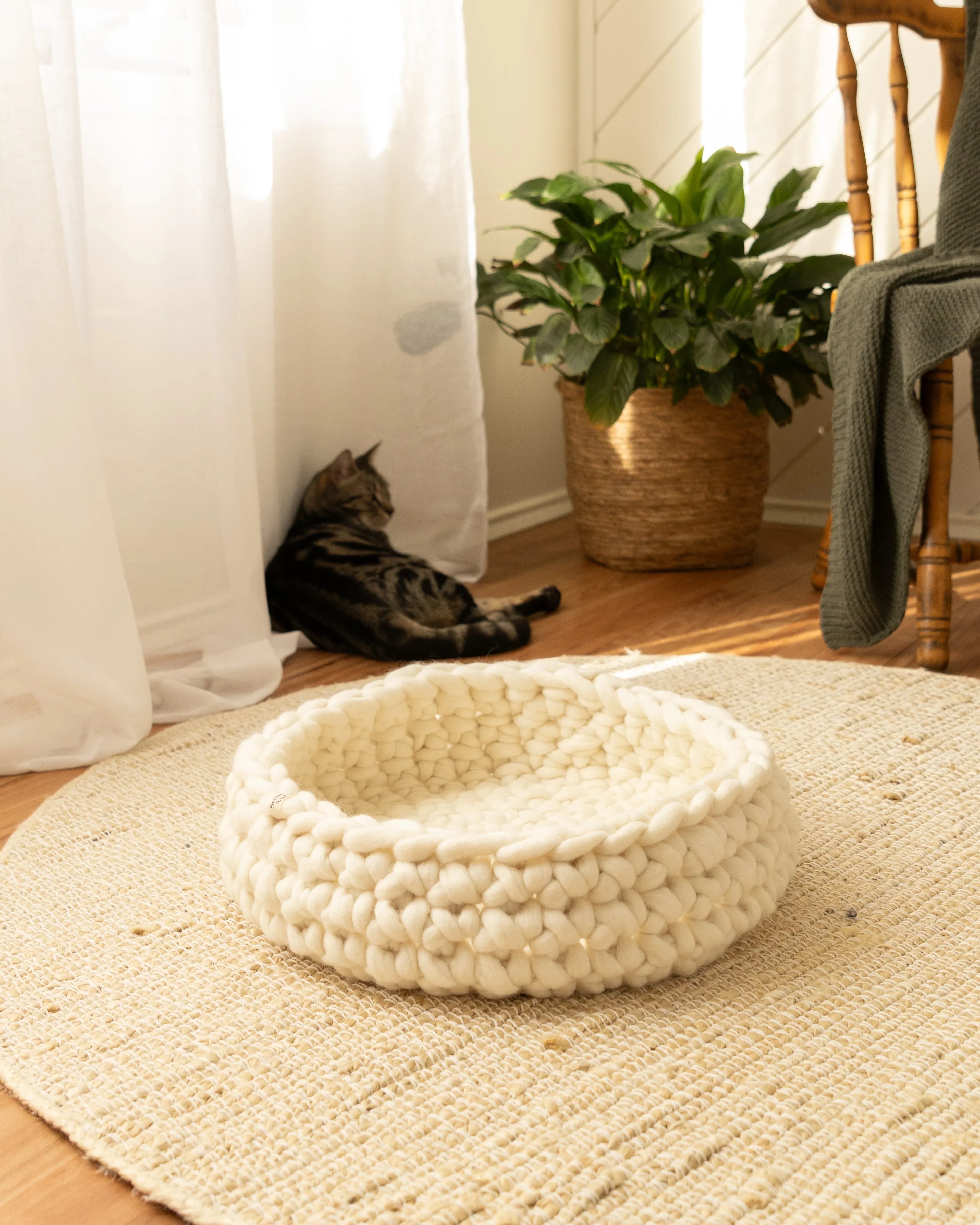 Solace Aura Natural White cat bed made from merino wool, styled on a round jute rug in a sunlit interior, with the empty cat bed in the foreground and a relaxed tabby cat resting near sheer curtains, a woven plant basket, and a wooden chair in the background