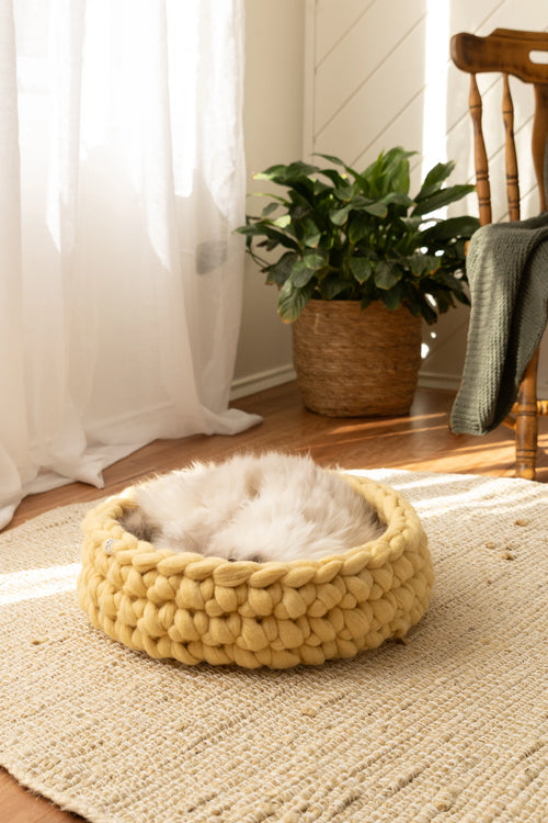 Handcrafted Honey merino wool cat bed in warm yellow tone with cat resting inside, handmade felted wool pet bed by Solace Aura