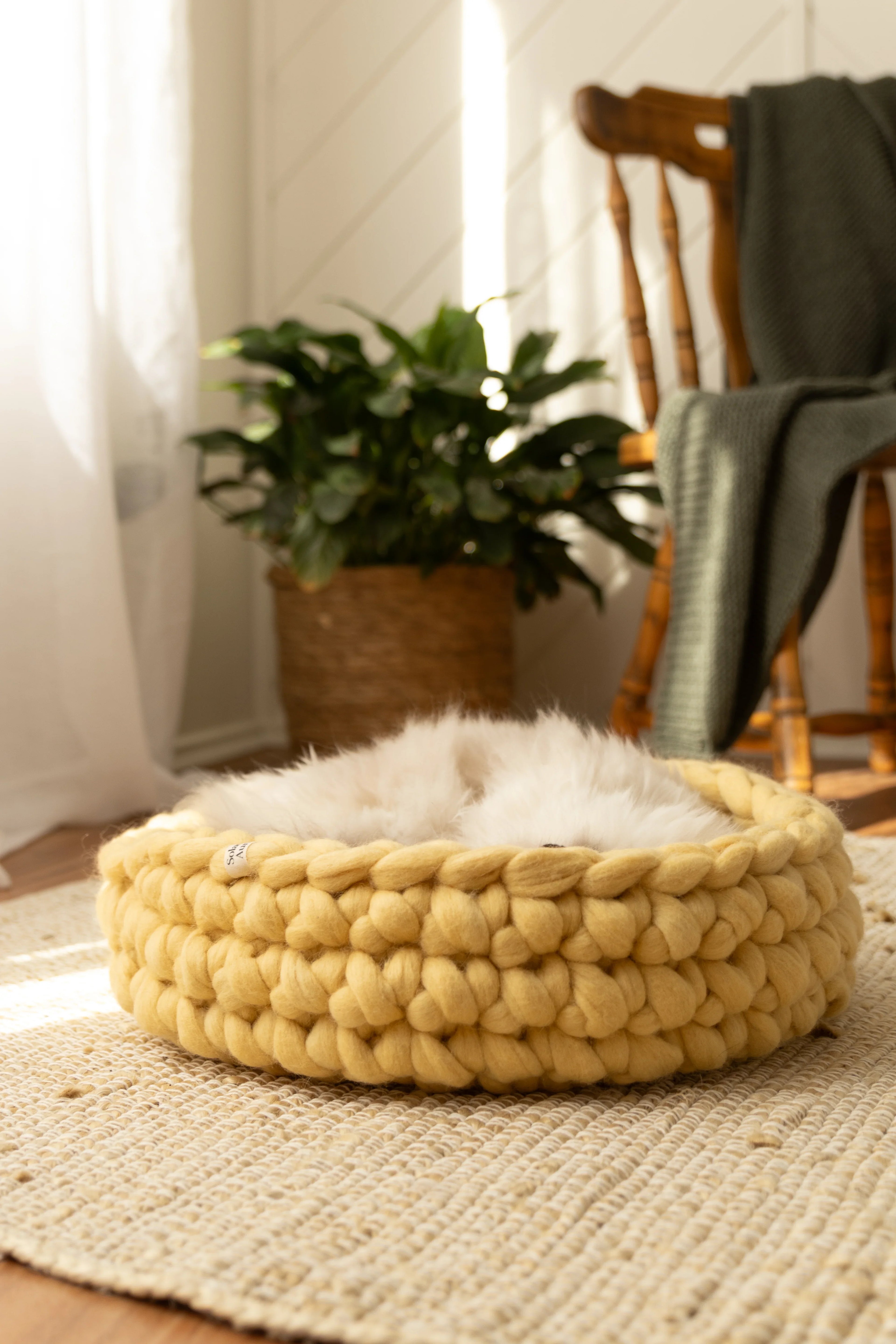 Solace Aura Honey cat bed in warm yellow merino wool, shown empty on a woven rug in a light-filled home interior with indoor plants.