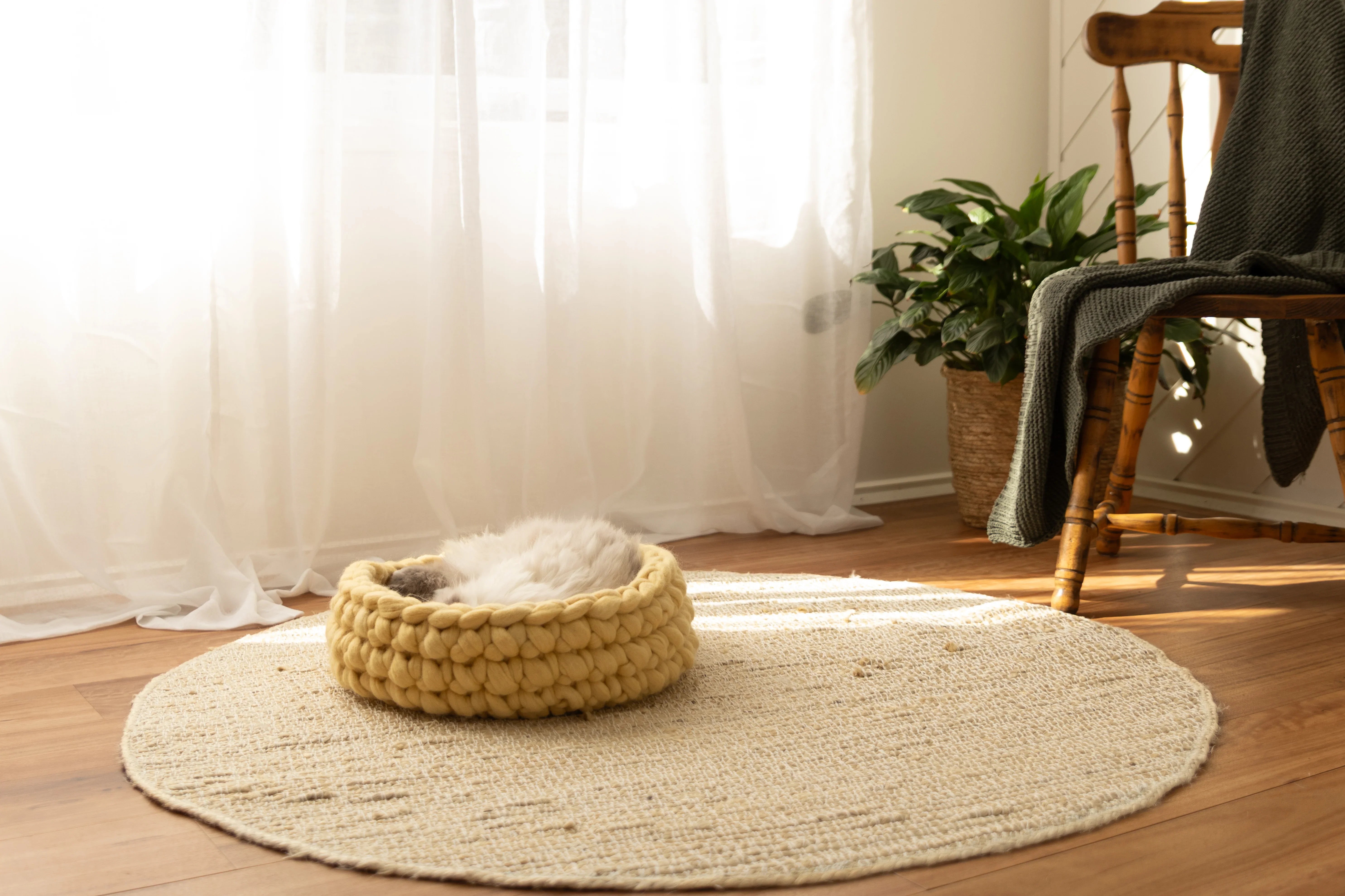 Honey yellow Solace Aura merino wool cat bed styled in a minimalist living space, designed to blend seamlessly into the home