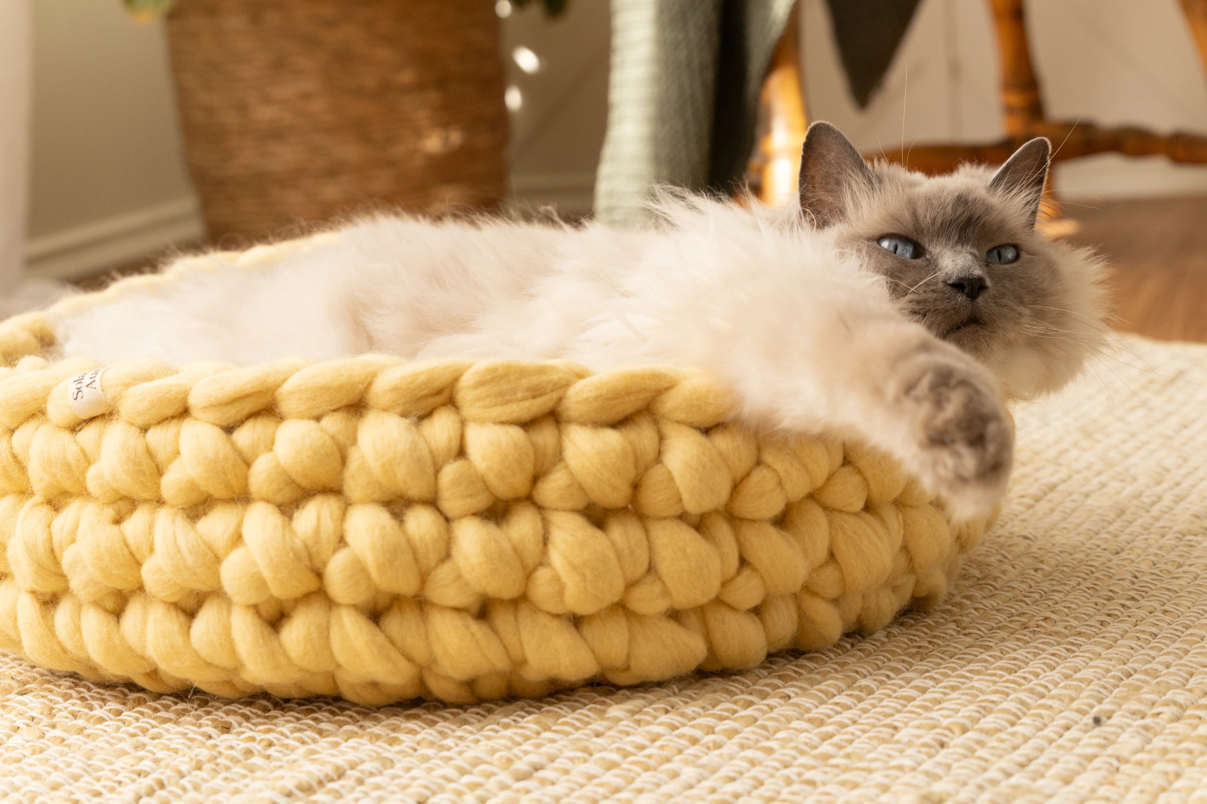 Close-up of a cat relaxing in a handmade Solace Aura merino wool cat bed in Honey (yellow), showing the thick hand-felted weave and raised sides.
