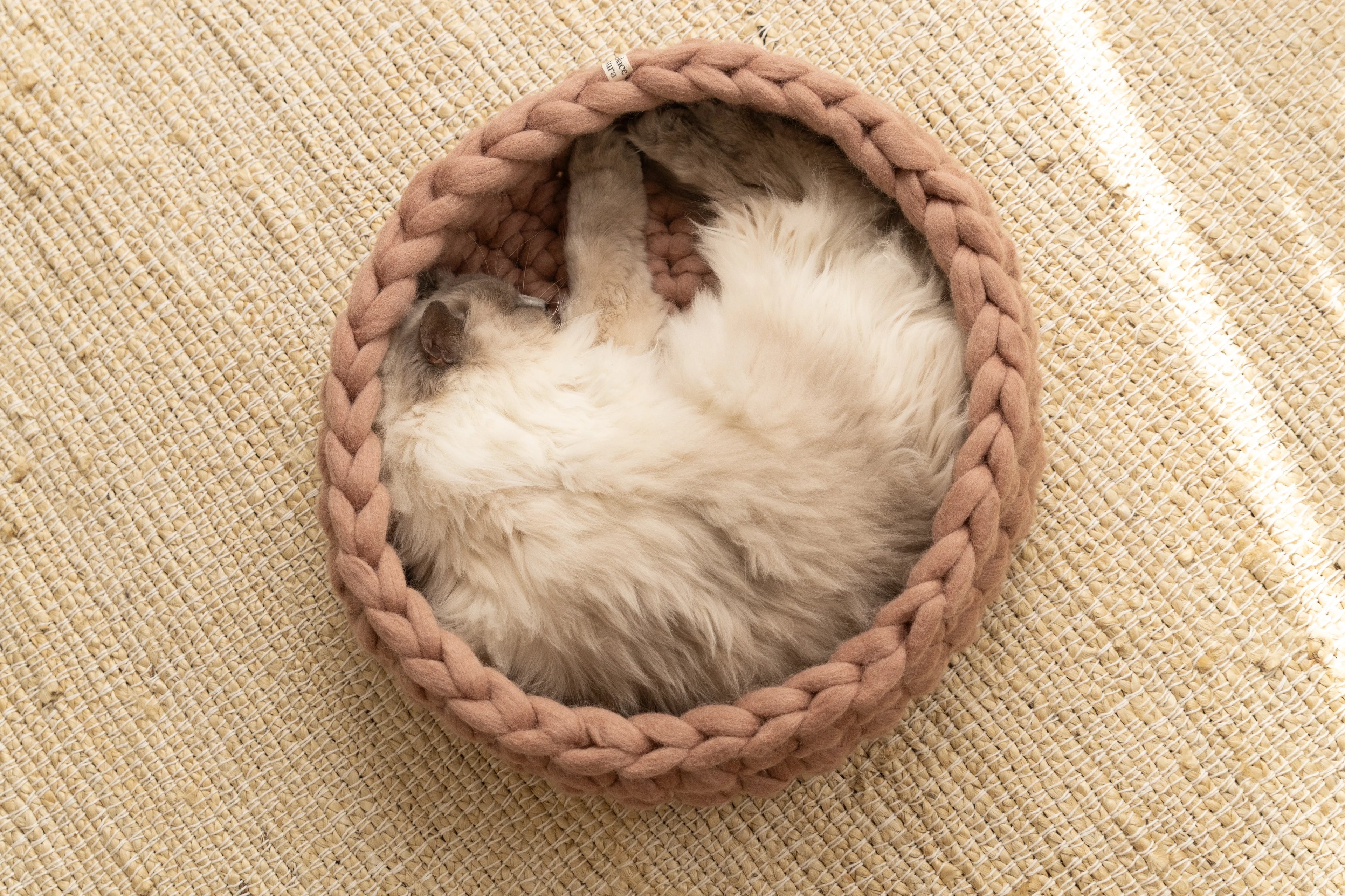 Solace Aura Cappuccino brown cat bed made from merino wool, shown from above with a cat sleeping curled inside on a natural jute rug