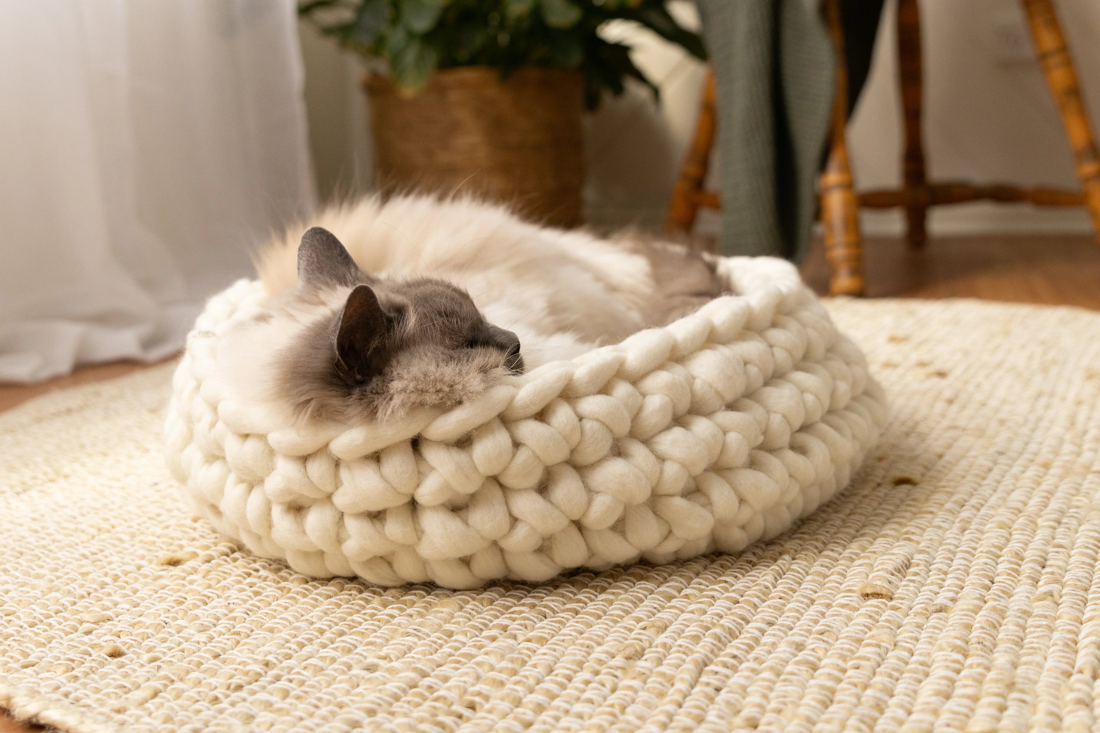 Solace Aura Natural White cat bed made from merino wool, featuring a sleeping cat nestled inside the bed on a round jute rug, styled in a sunlit interior with sheer curtains, timber floor, woven plant basket, and wooden chair in the background