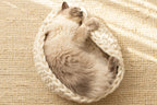 Solace Aura Natural White cat bed, white merino wool cat bed shown from a top-down angle with a cat sleeping curled inside, placed on a round jute rug in a softly lit home interior