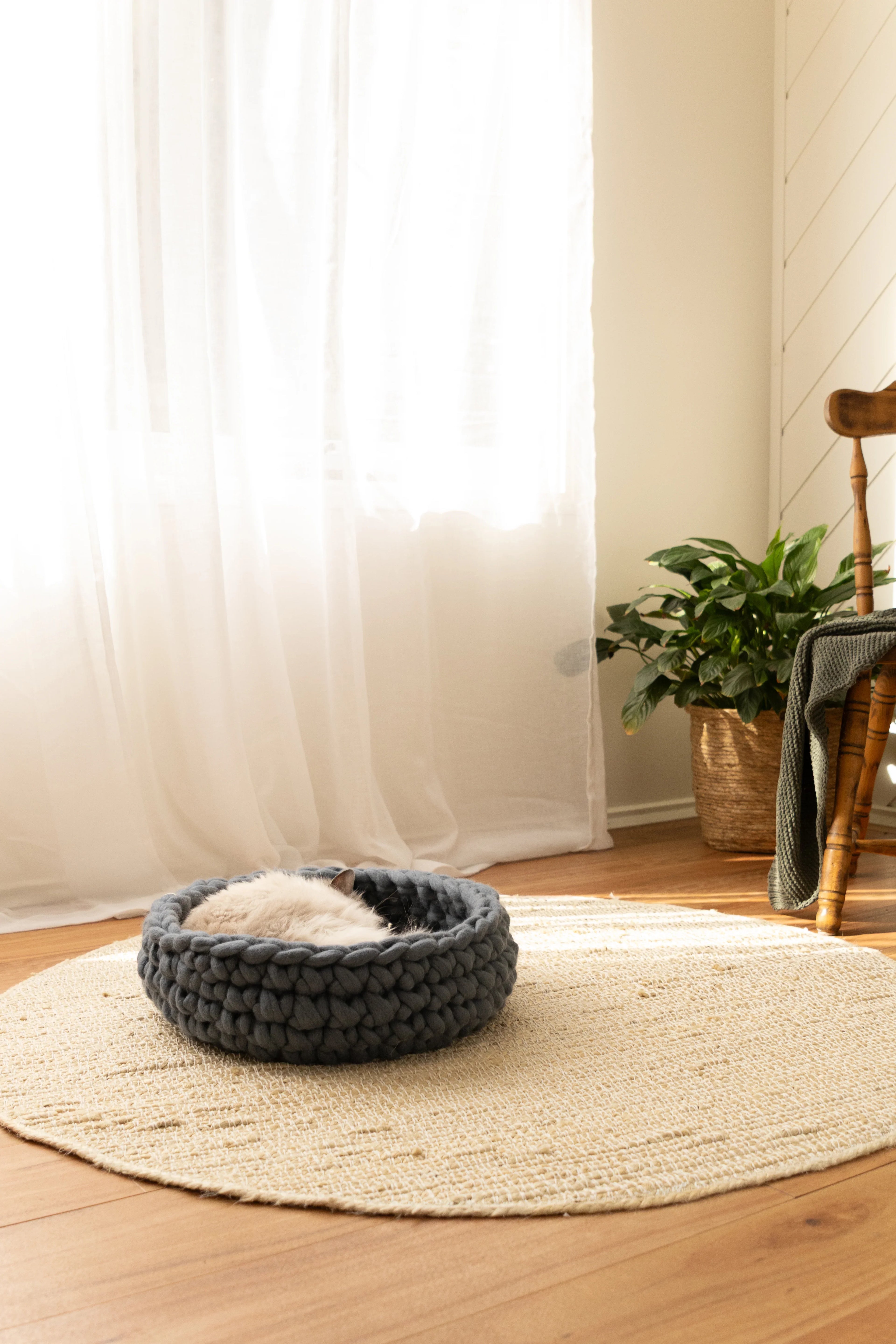 Solace Aura Moonstone grey merino wool cat bed placed on a natural jute rug over timber floorboards, with a cat resting inside. Soft white curtains, a leafy indoor plant in a woven basket, and a wooden chair with a draped blanket create a calm, earthy interior setting.