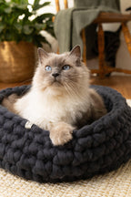 Fluffy cat resting in a Solace Aura charcoal grey merino wool cat bed, handmade from 100% natural, mulesing-free wool in a calm, light-filled home.