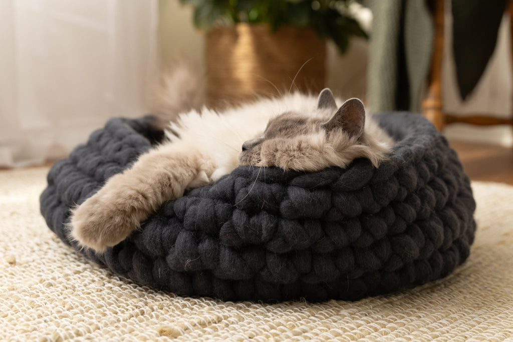 Charcoal grey Solace Aura cat bed handcrafted from 100% merino wool, with a cat resting inside on a neutral woven rug in a sunlit home.