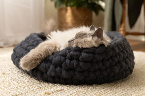 Charcoal grey Solace Aura cat bed handcrafted from 100% merino wool, with a cat resting inside on a neutral woven rug in a sunlit home.