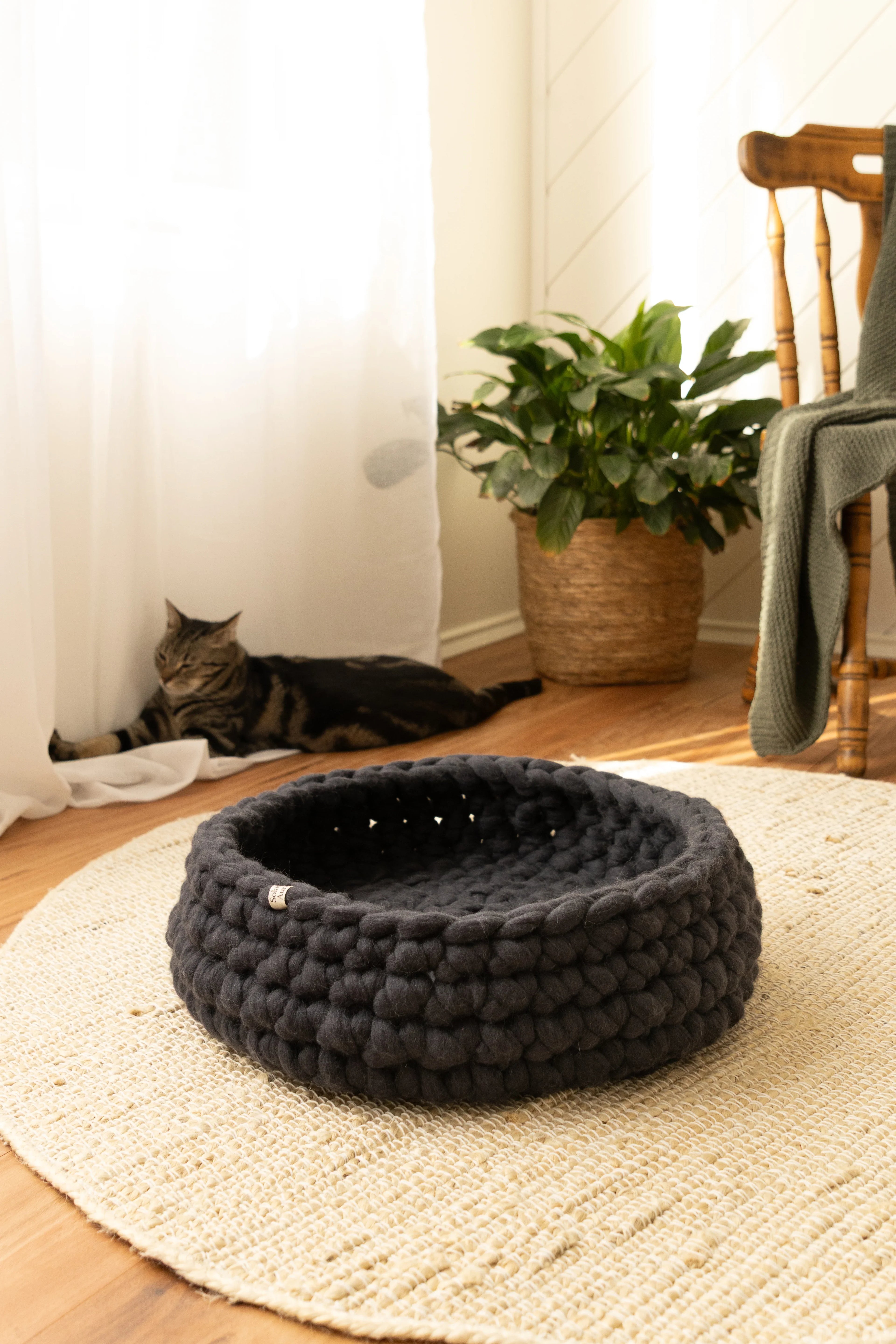 Solace Aura charcoal Merino wool cat bed made from natural wool, photographed in a warm minimalist home with timber floors, jute rug, and a relaxed cat in the background.